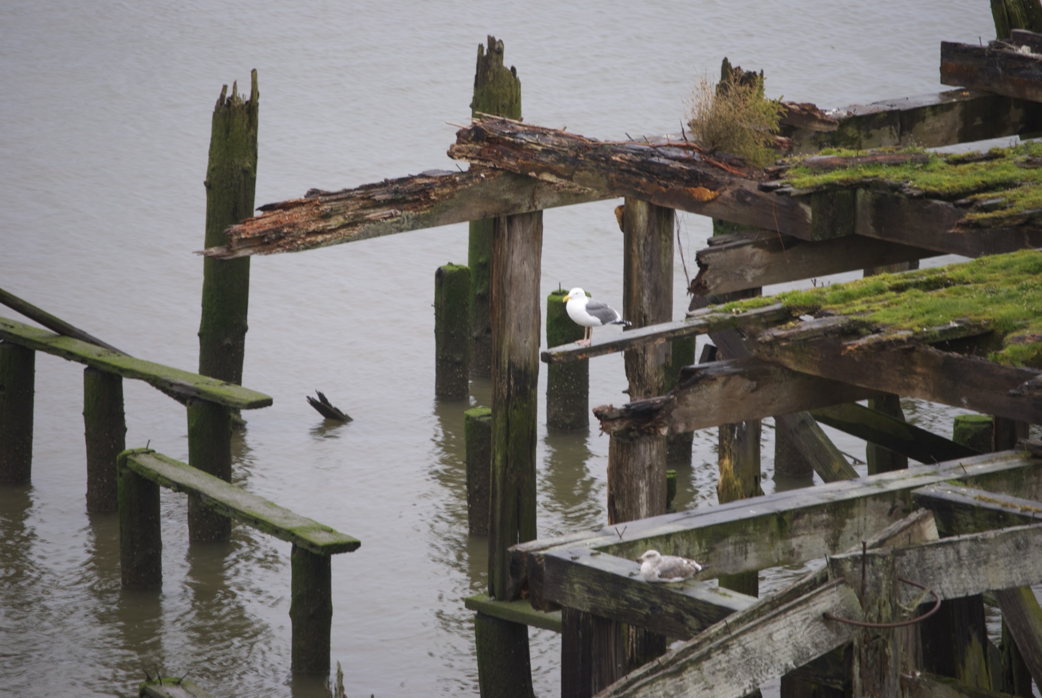 Old wharf
