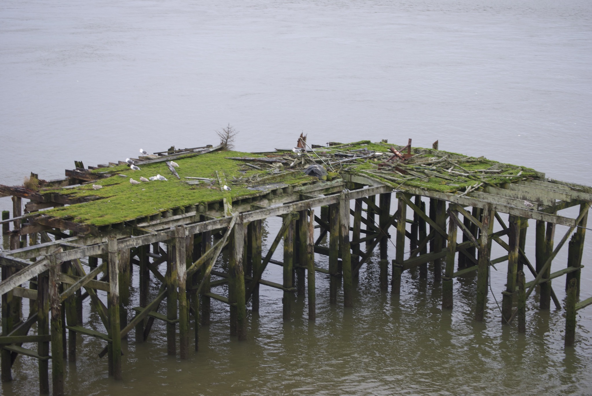 Old wharf