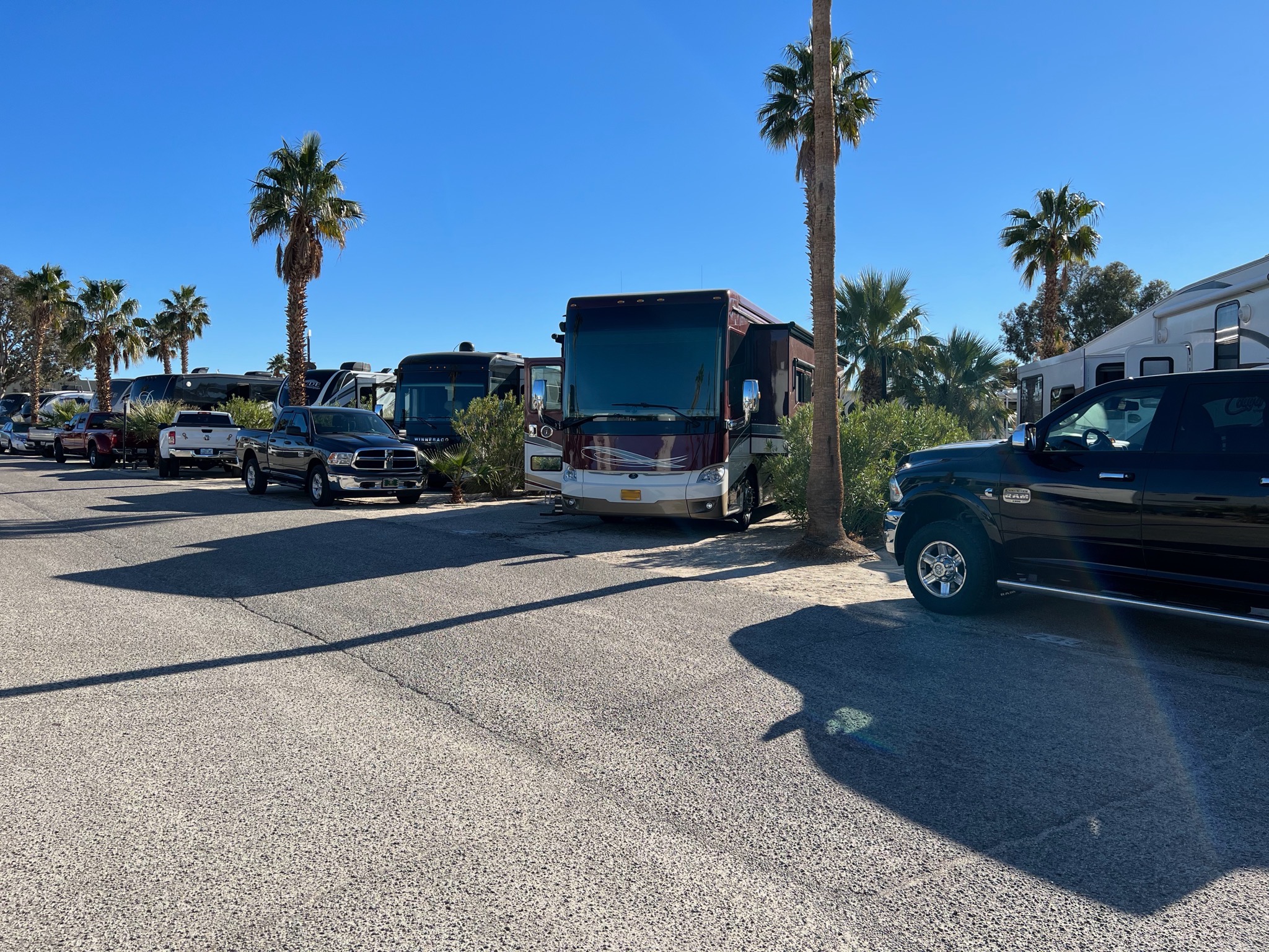 Catalina Spa and RV Resort