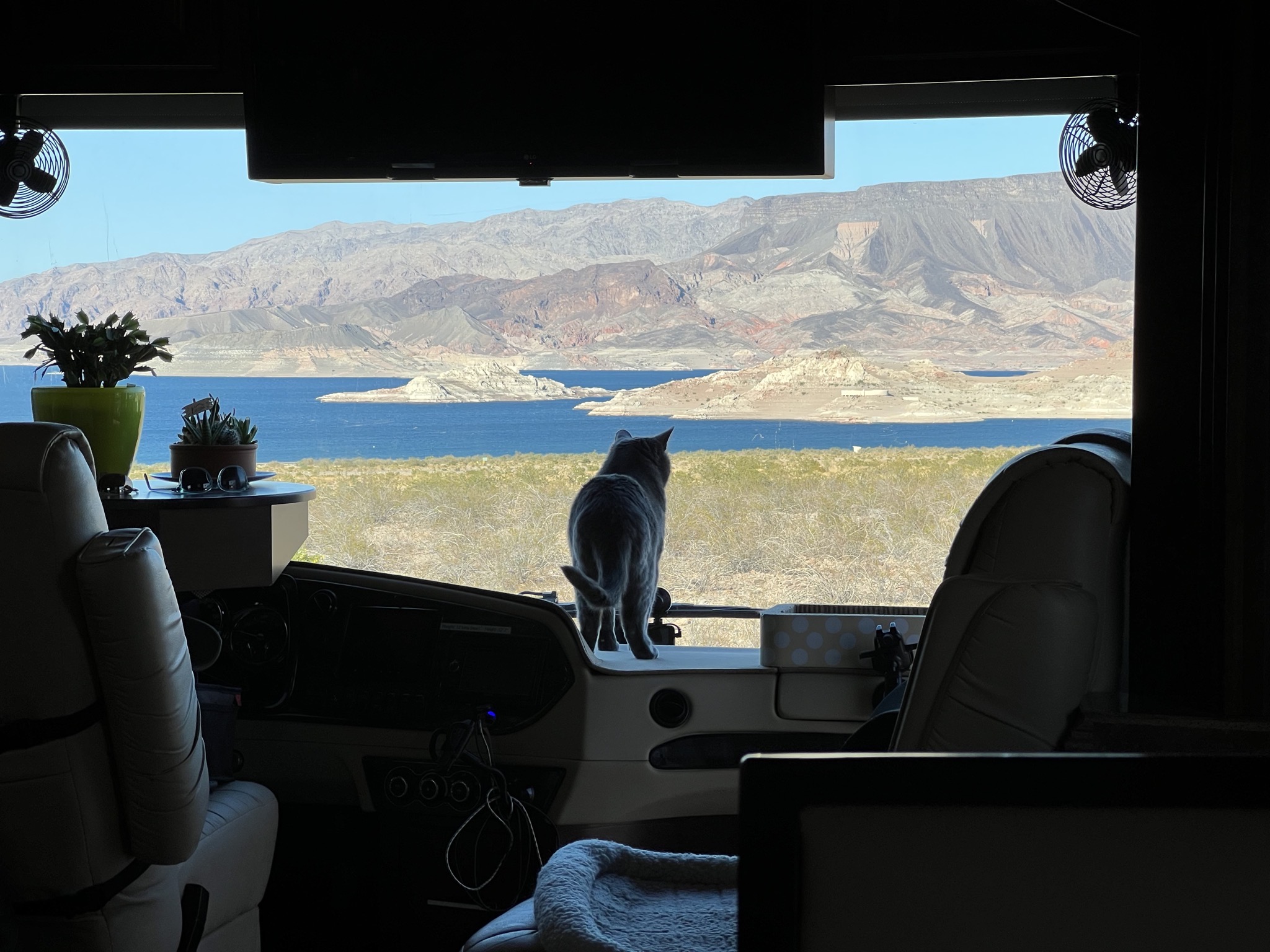 Lake view
