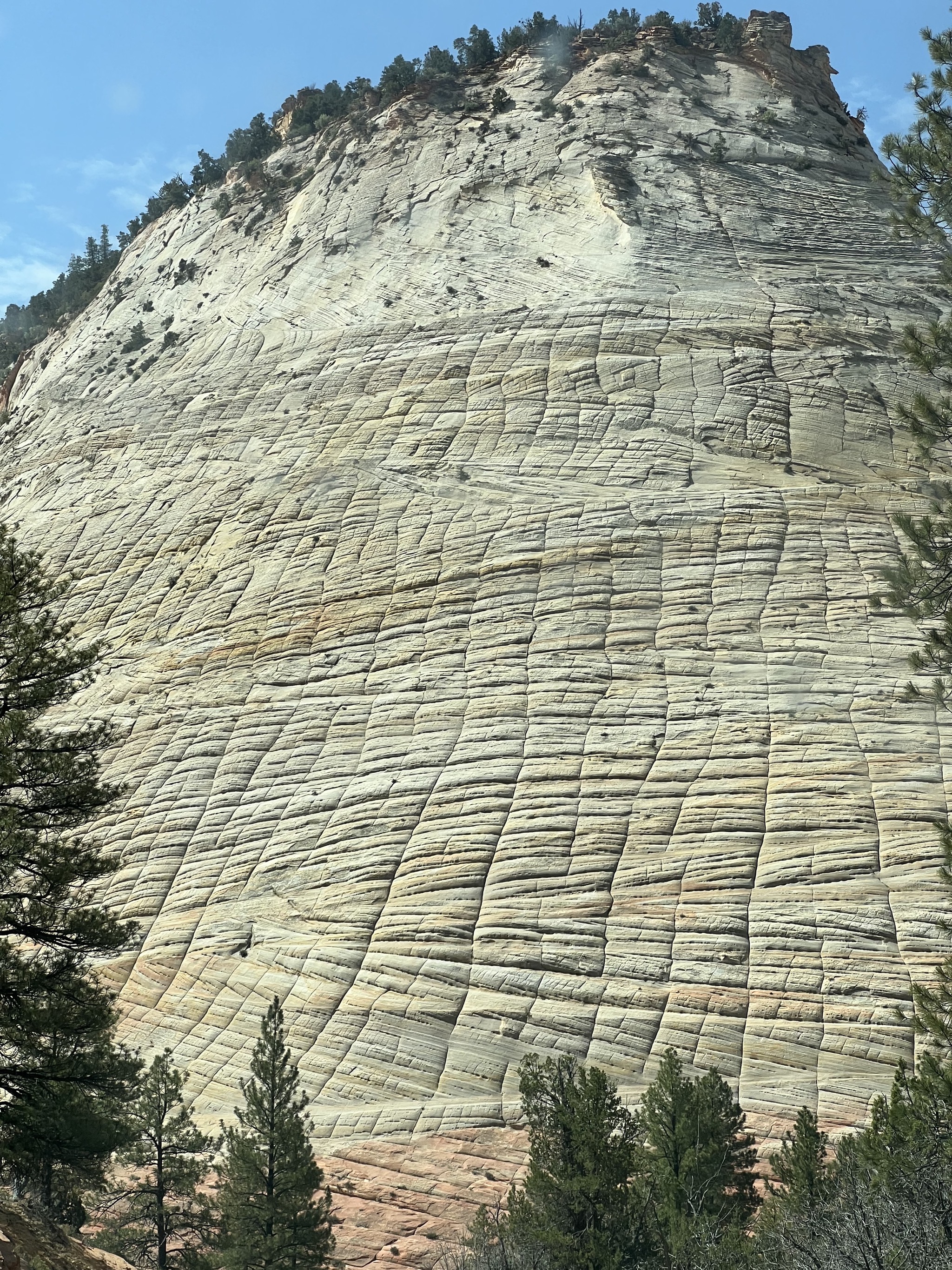 Zion National Park
