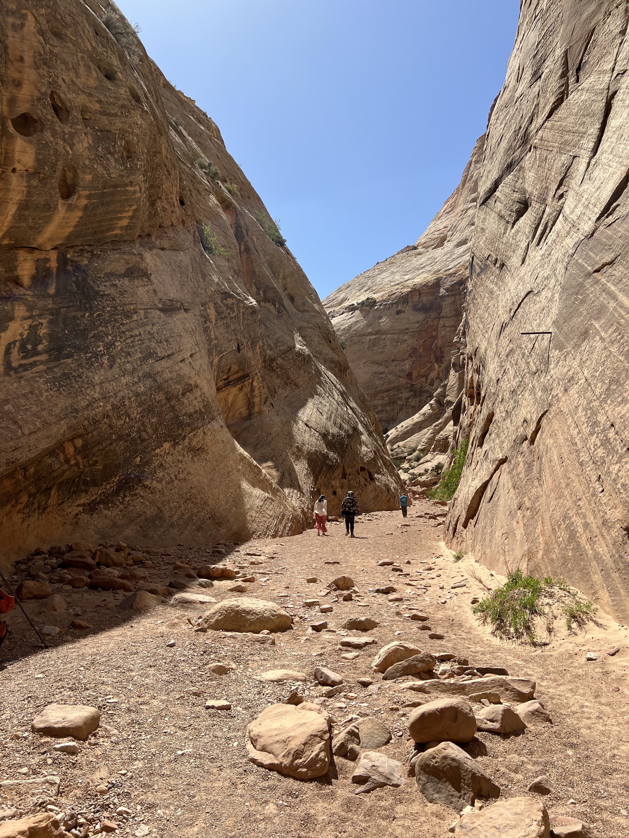 Capitol Reef National Park