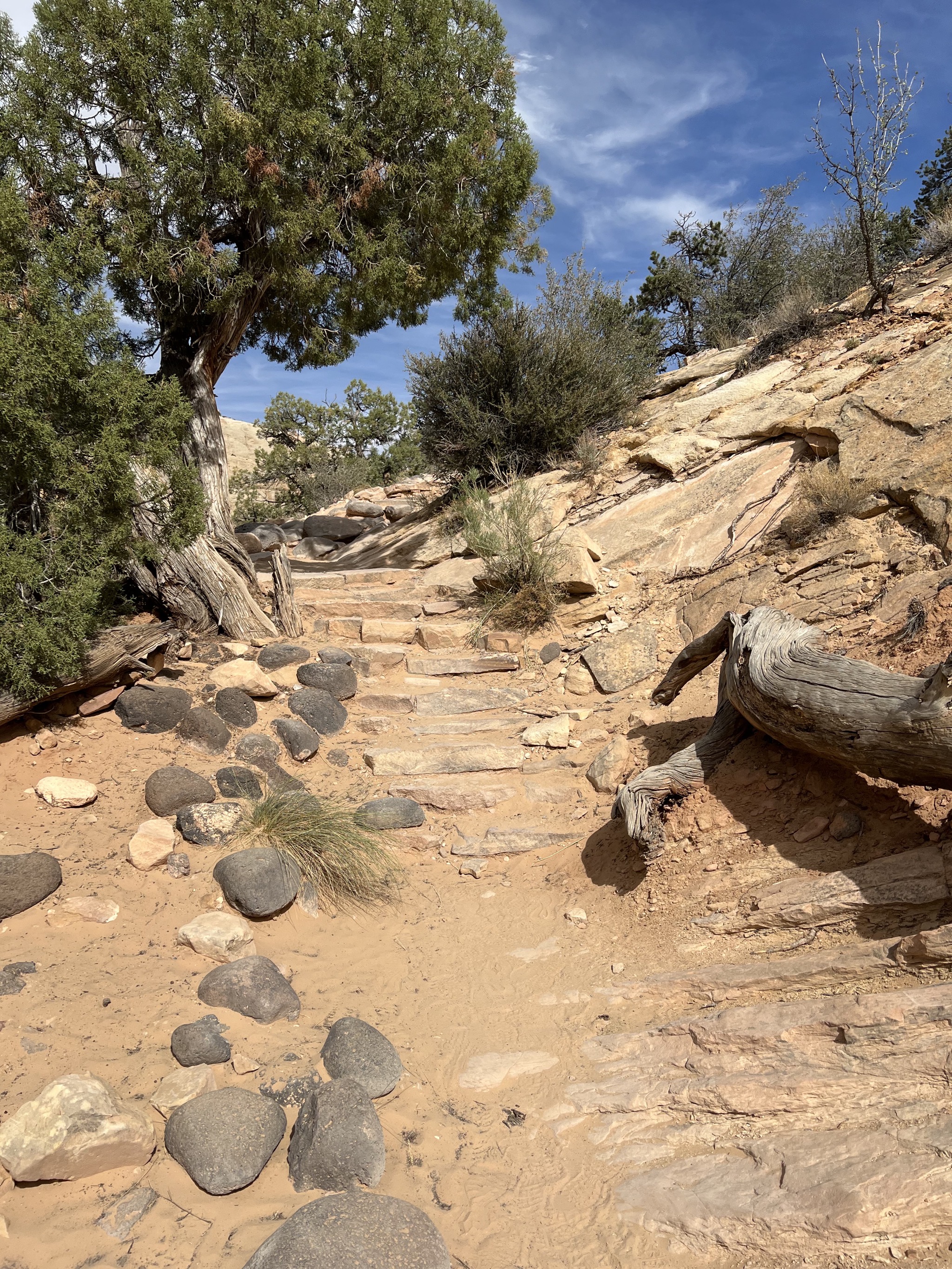 Hickman Bridge hike