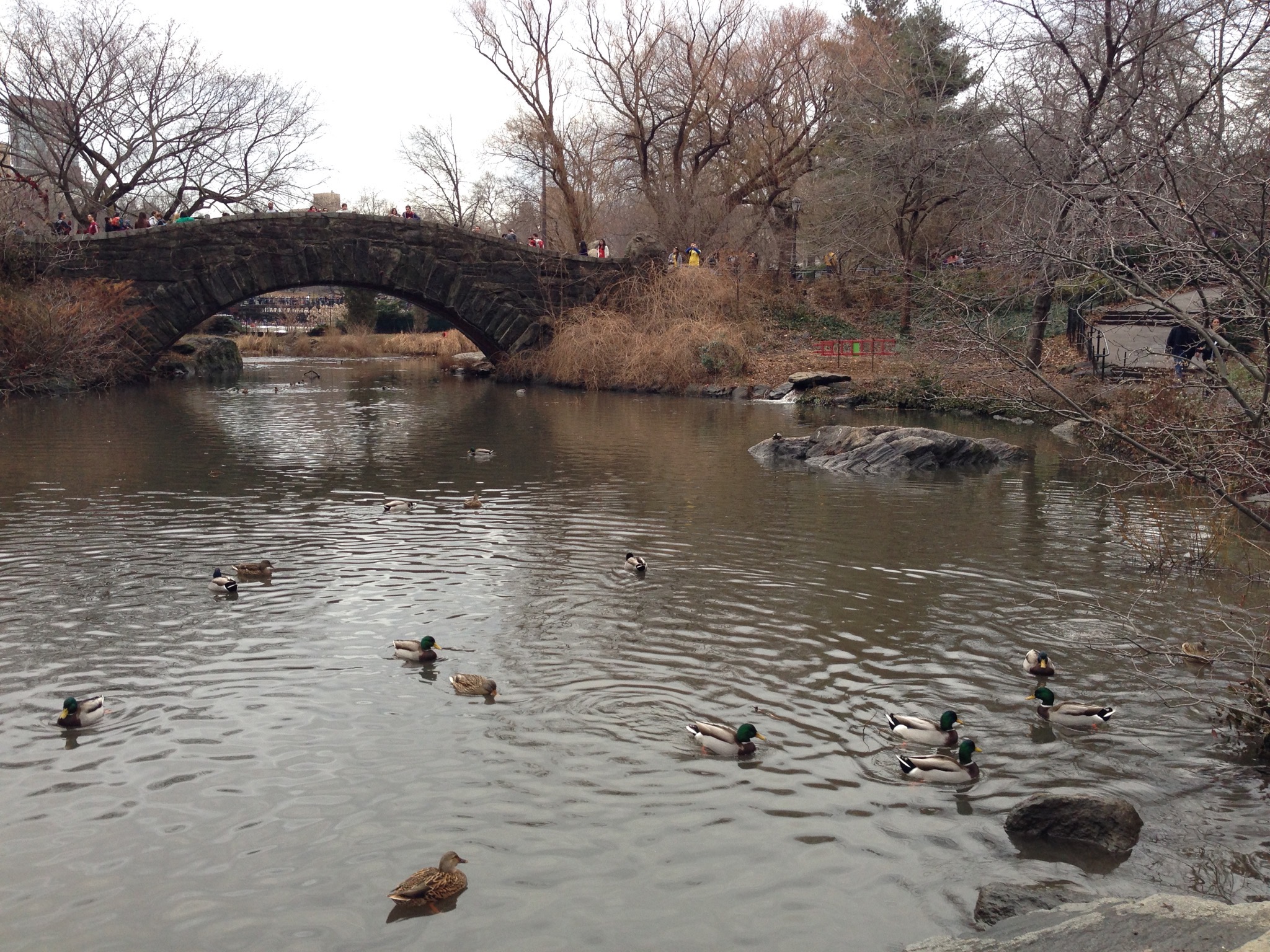 Central Park, New York
