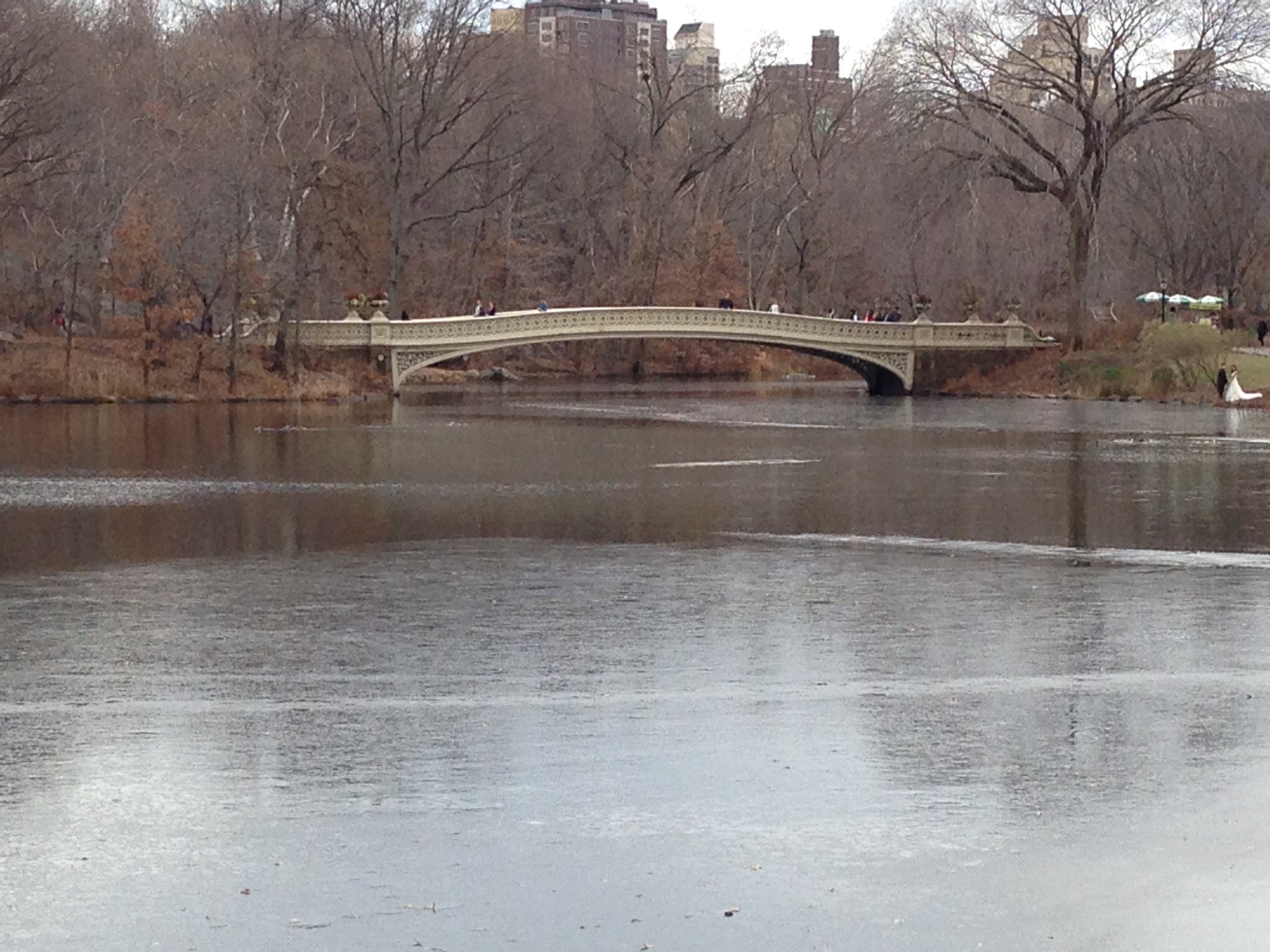 Central Park, New York