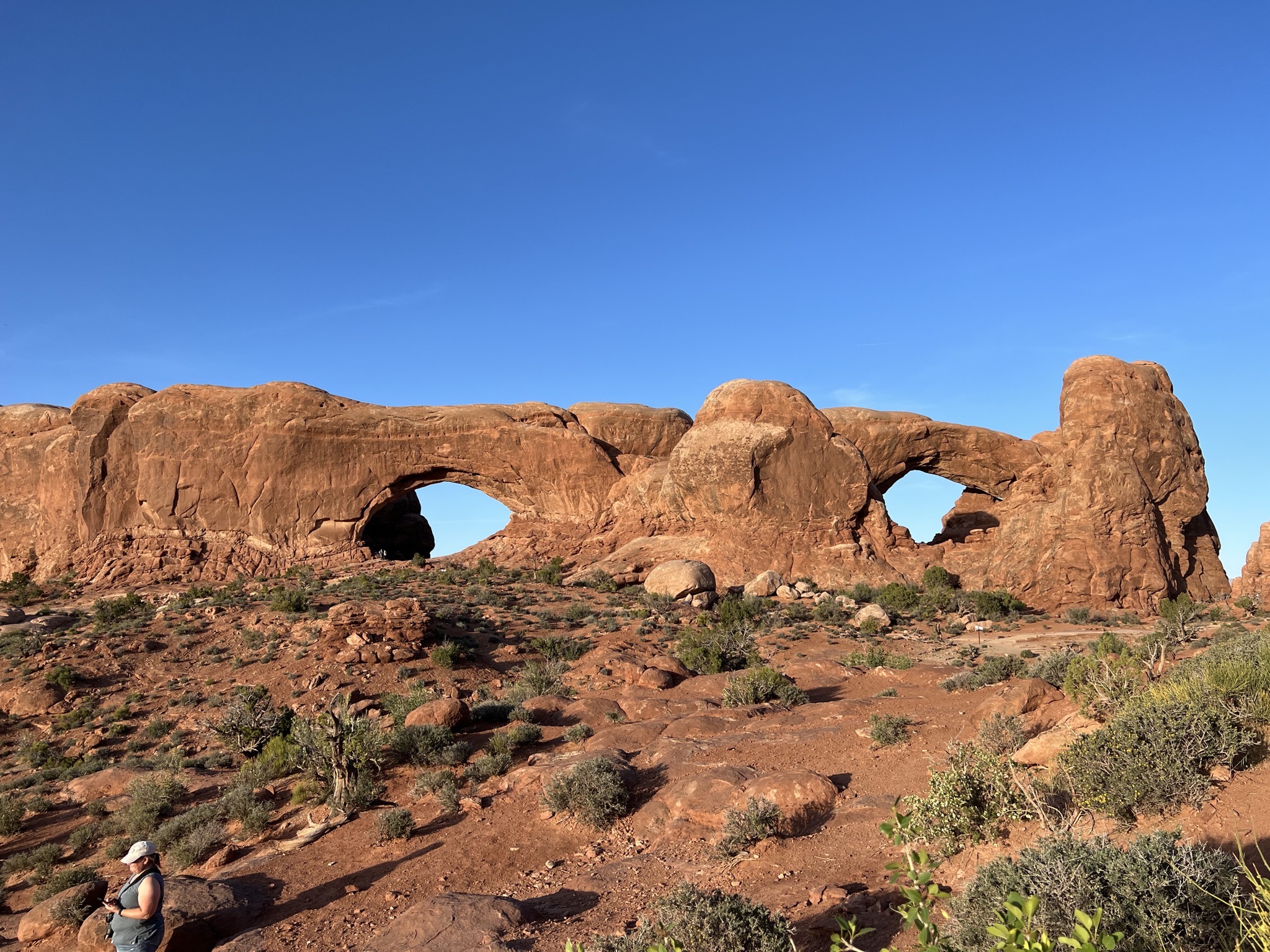 Window arches