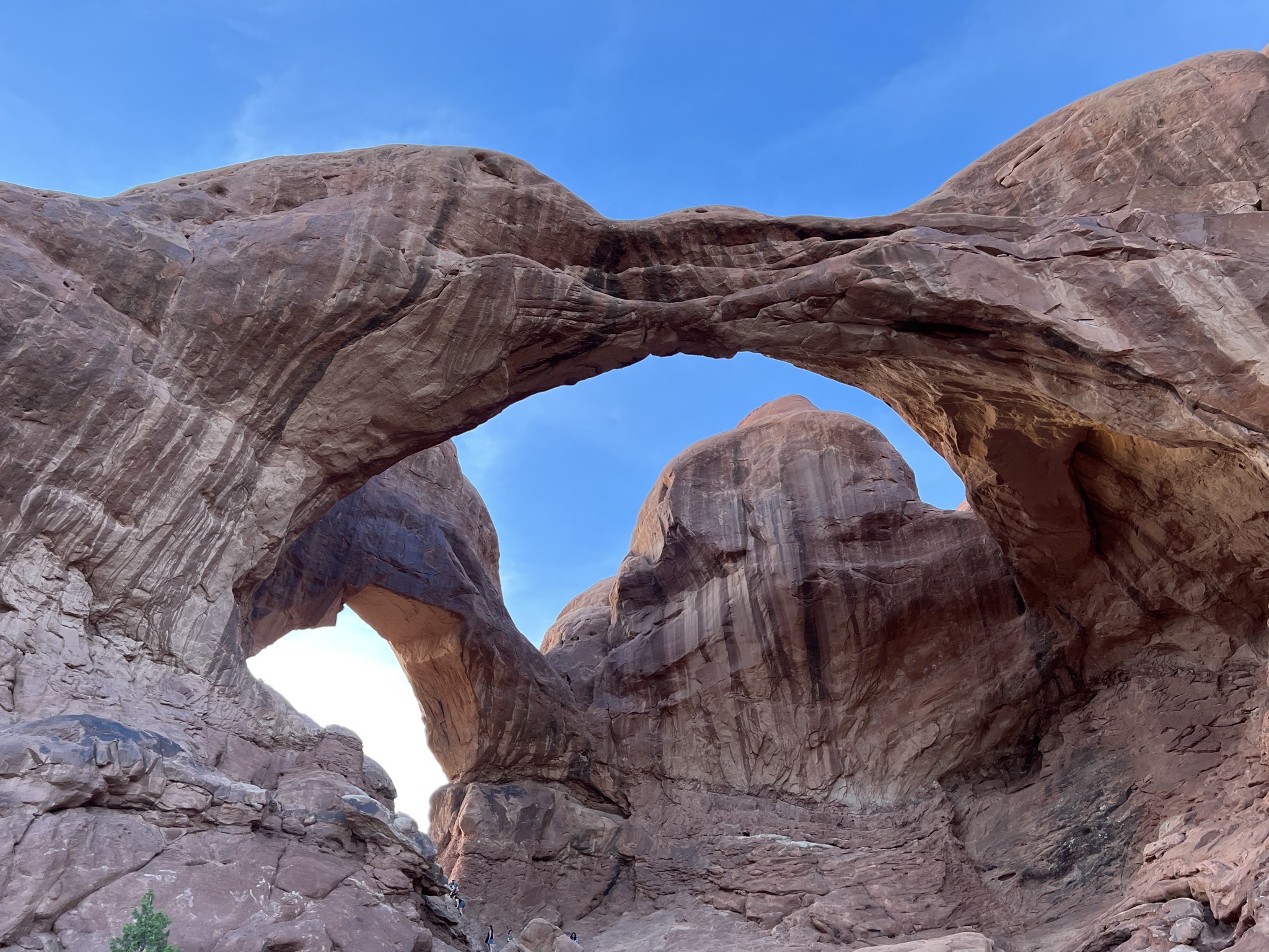 Double arches