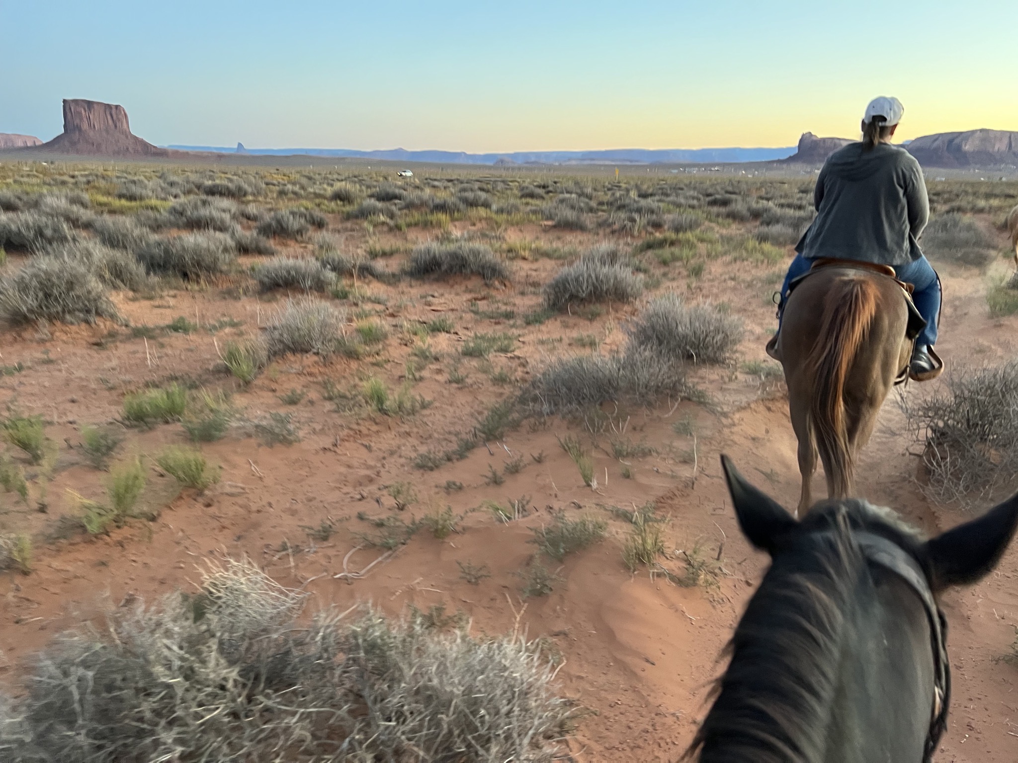 Horseback ride