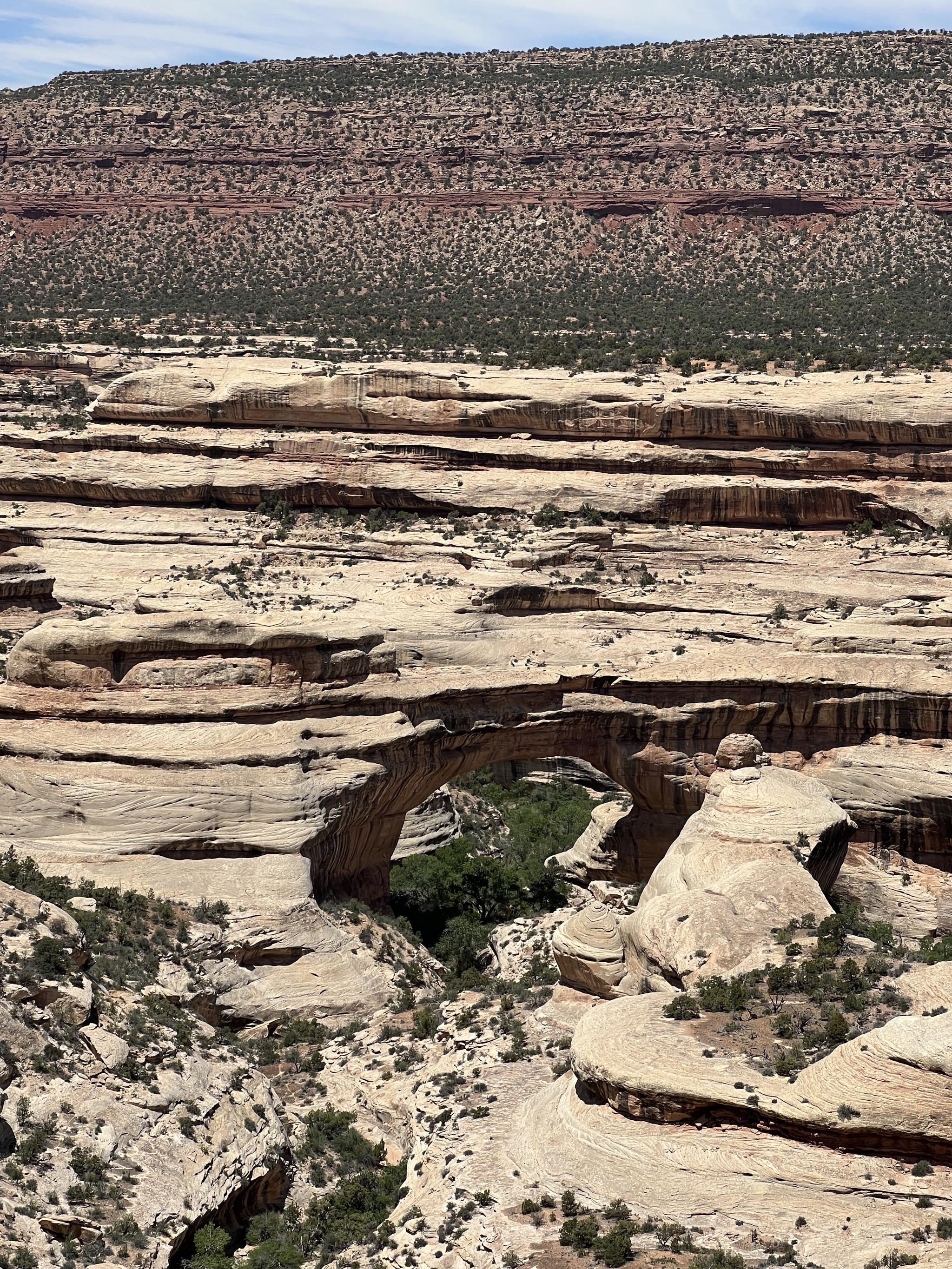 Natural Bridges National Monument
