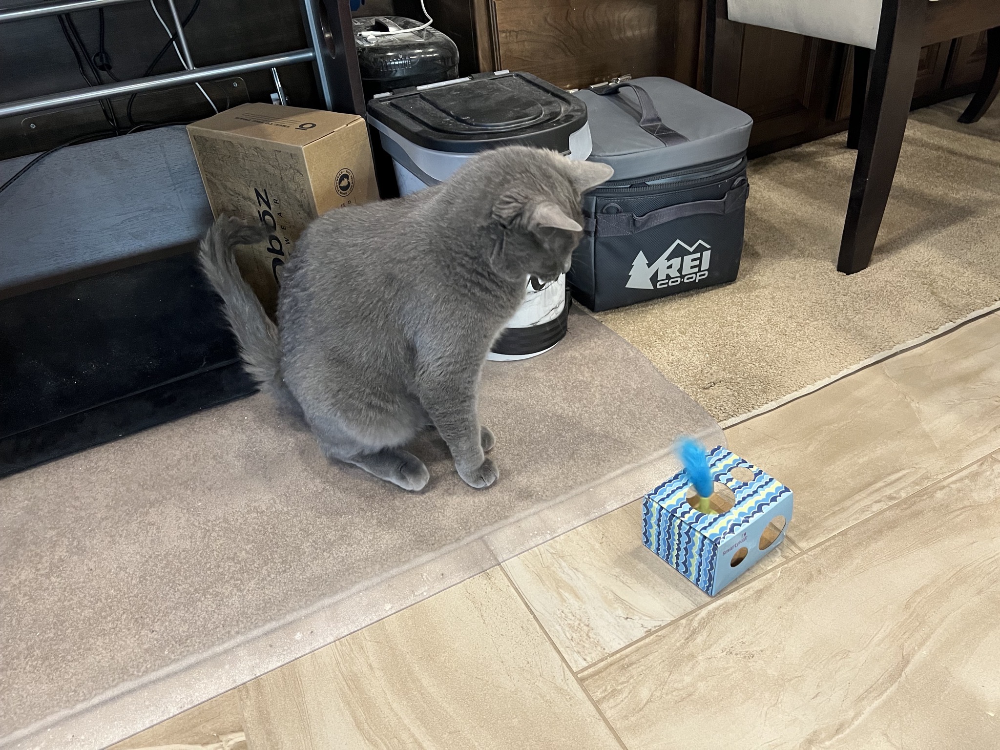 Paladin with a new toy