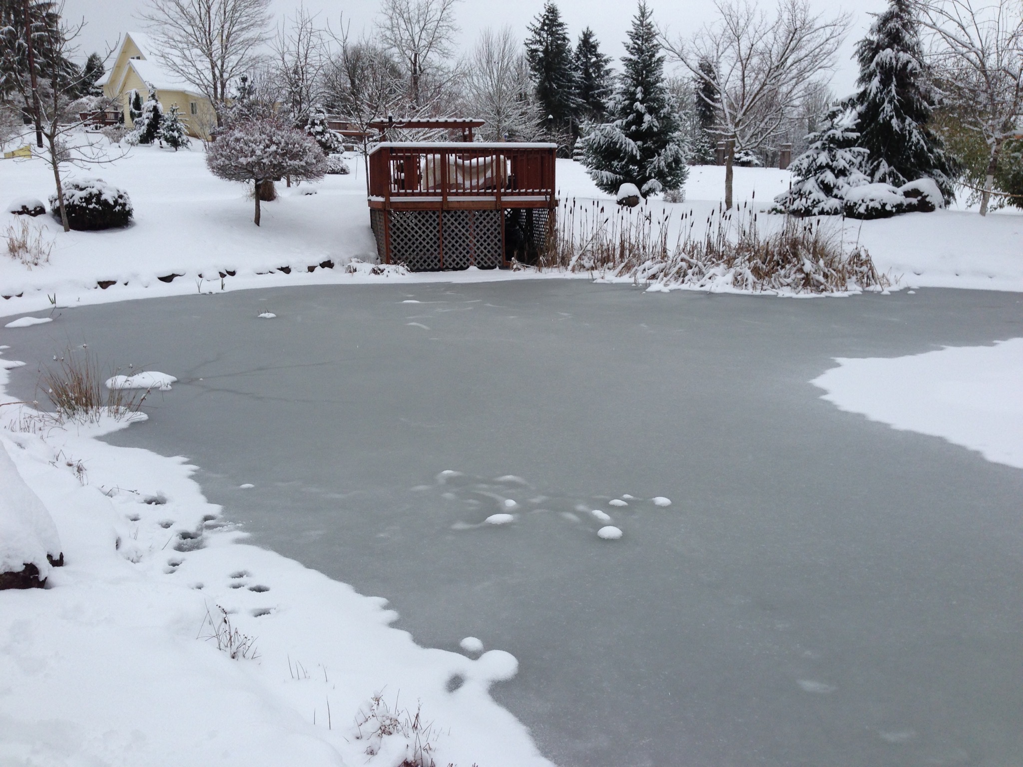Snowy homestead