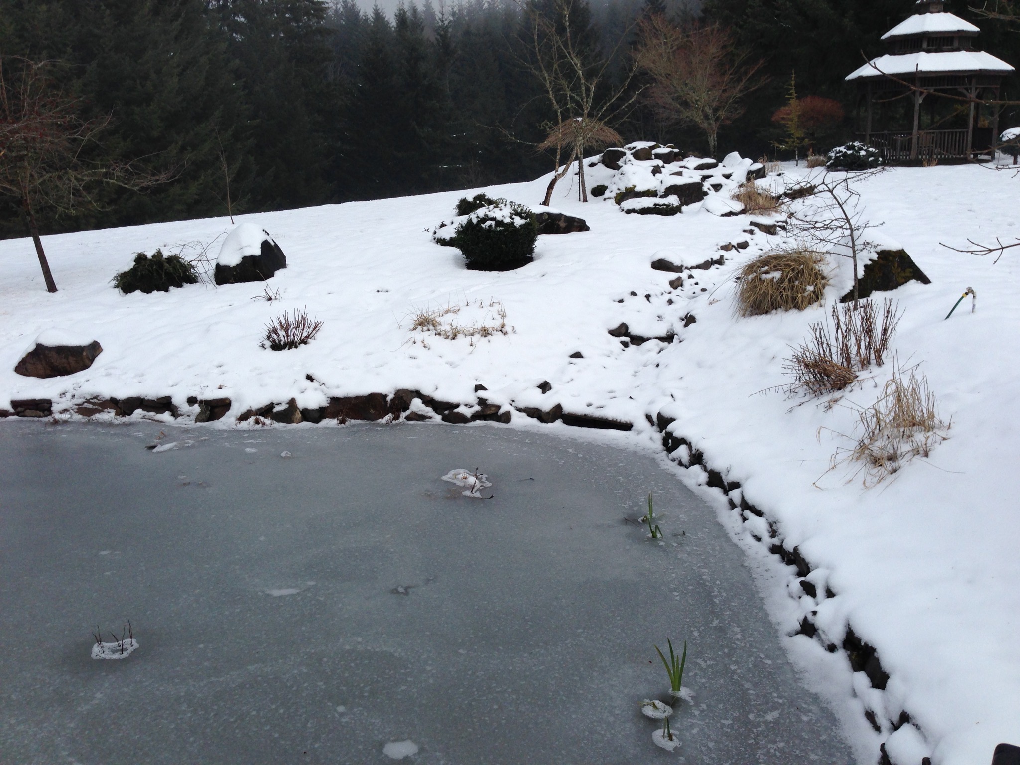 Snowy homestead