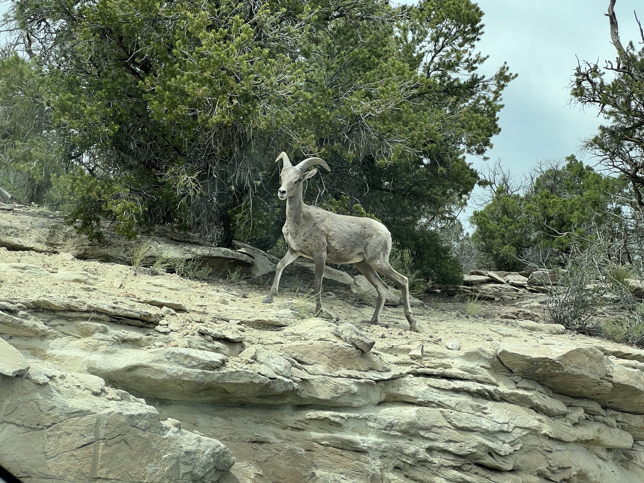 Colorado National Monument