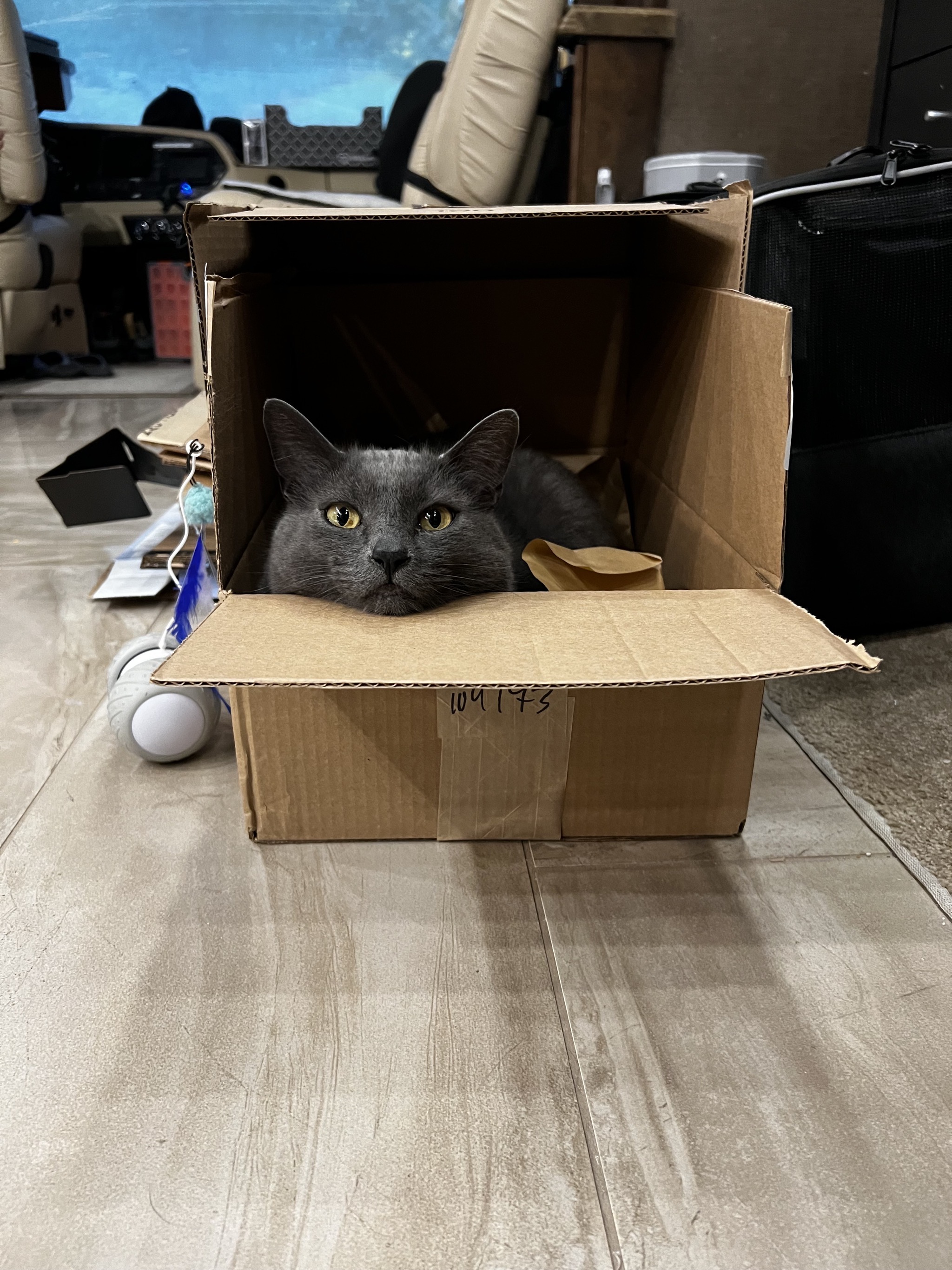 Paladin in a box