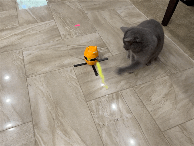 Paladin with toy