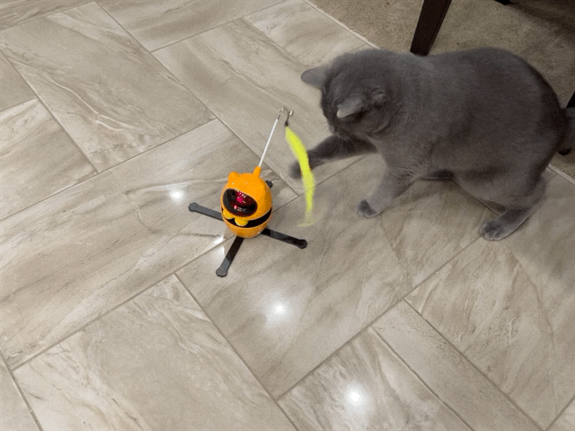 Paladin with toy