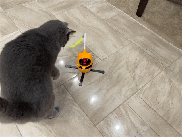 Paladin with toy