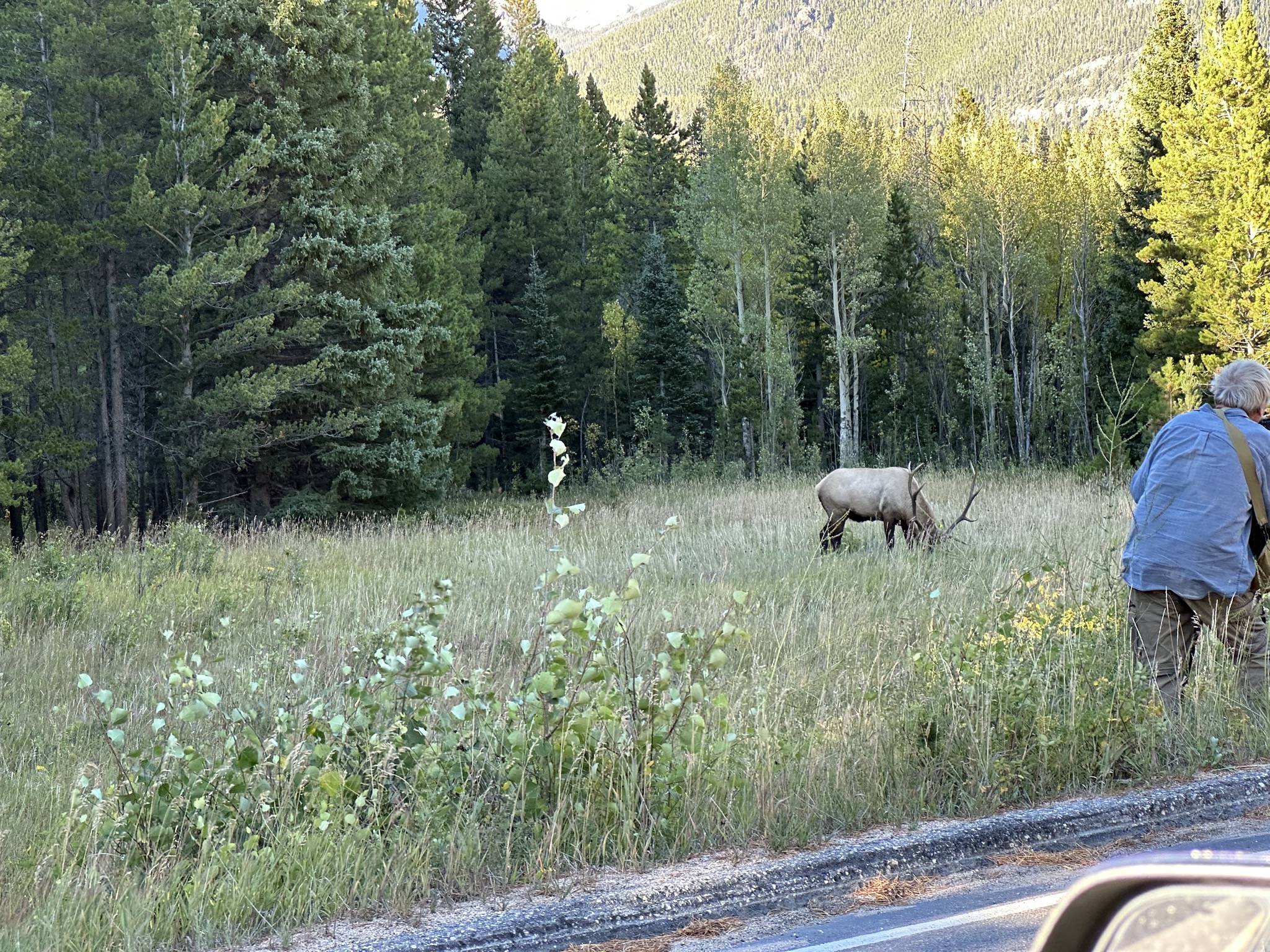 Rocky Mountain National Park