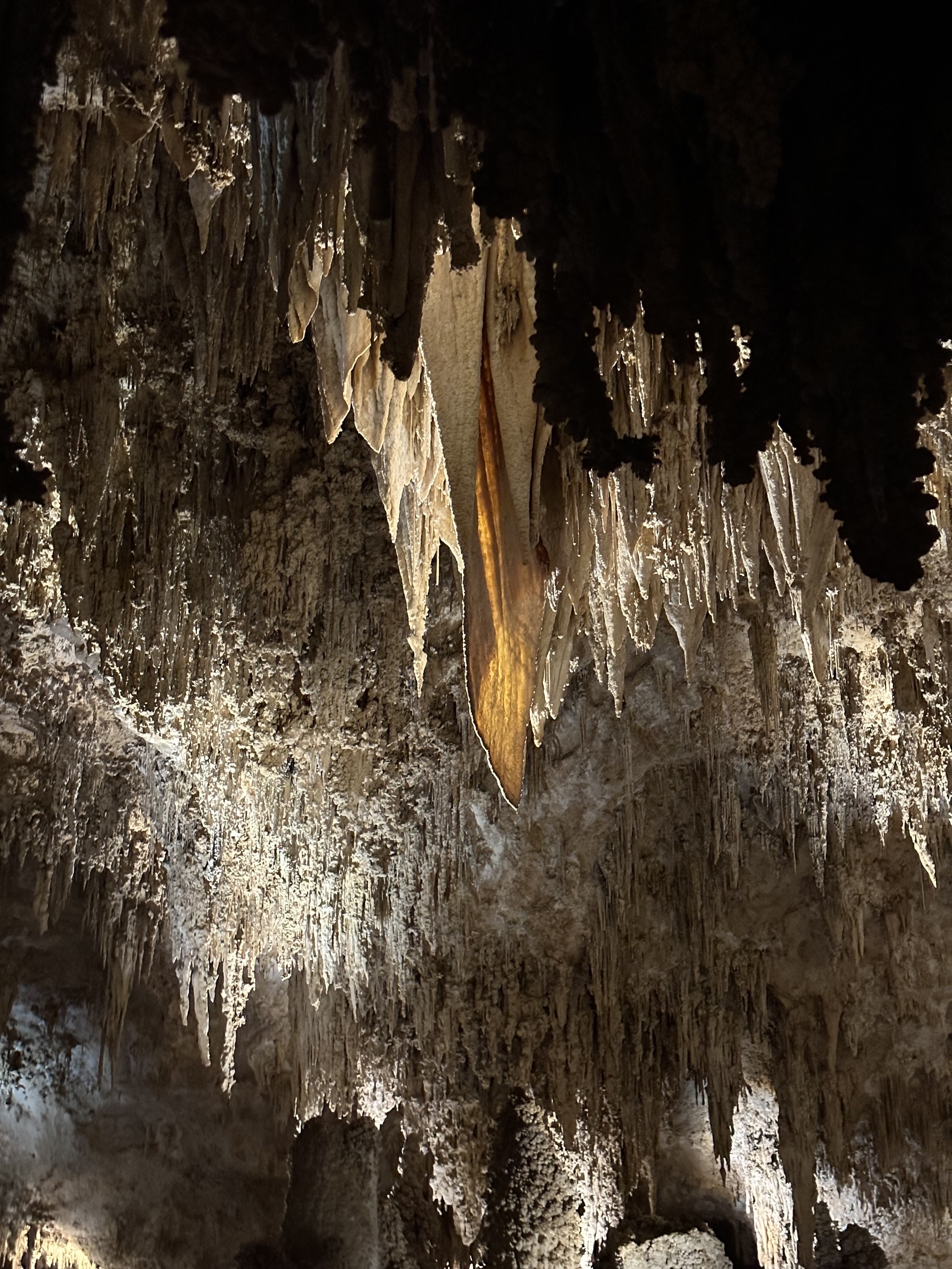 Carlsbad Caverns