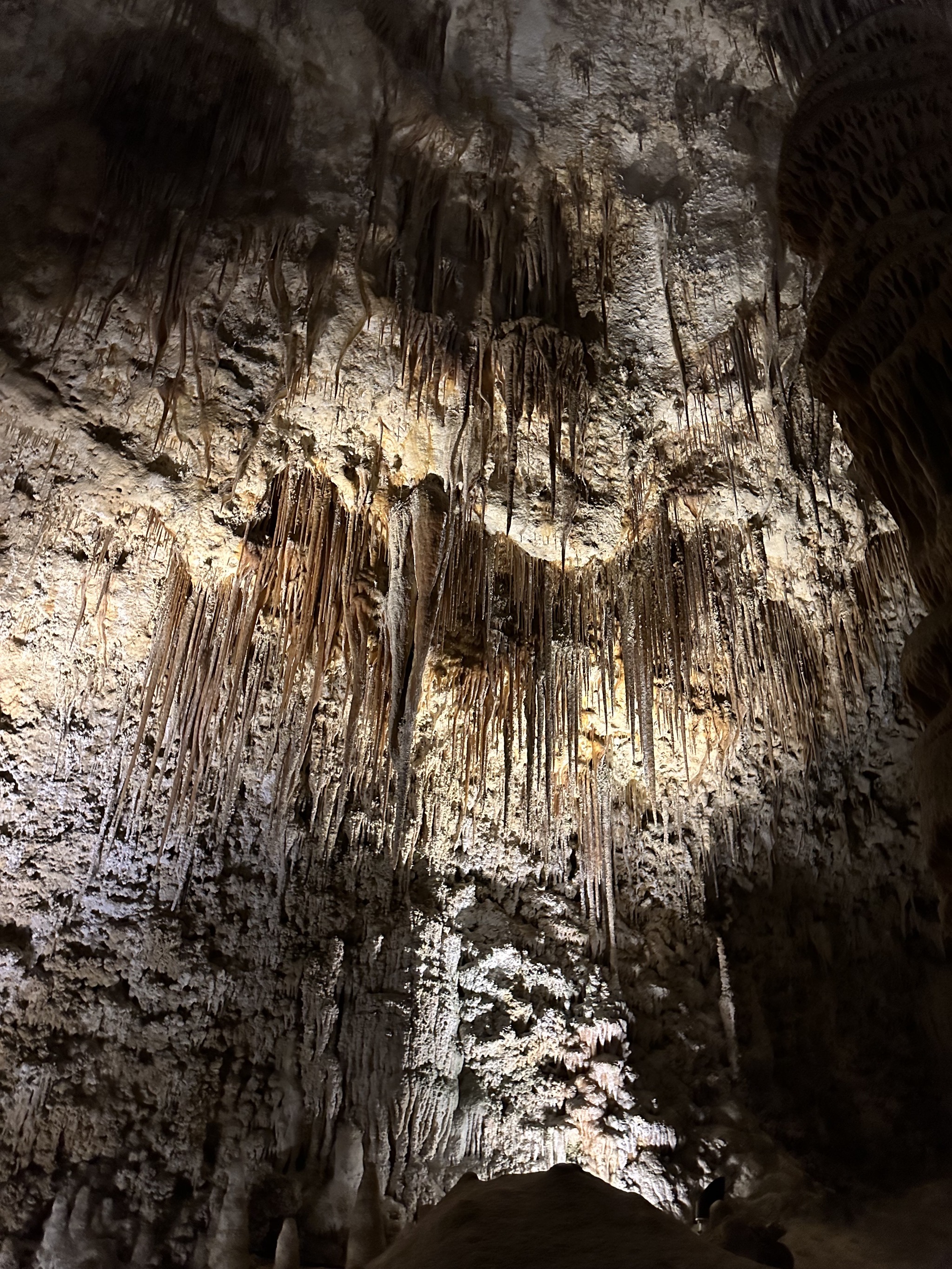 Carlsbad Caverns