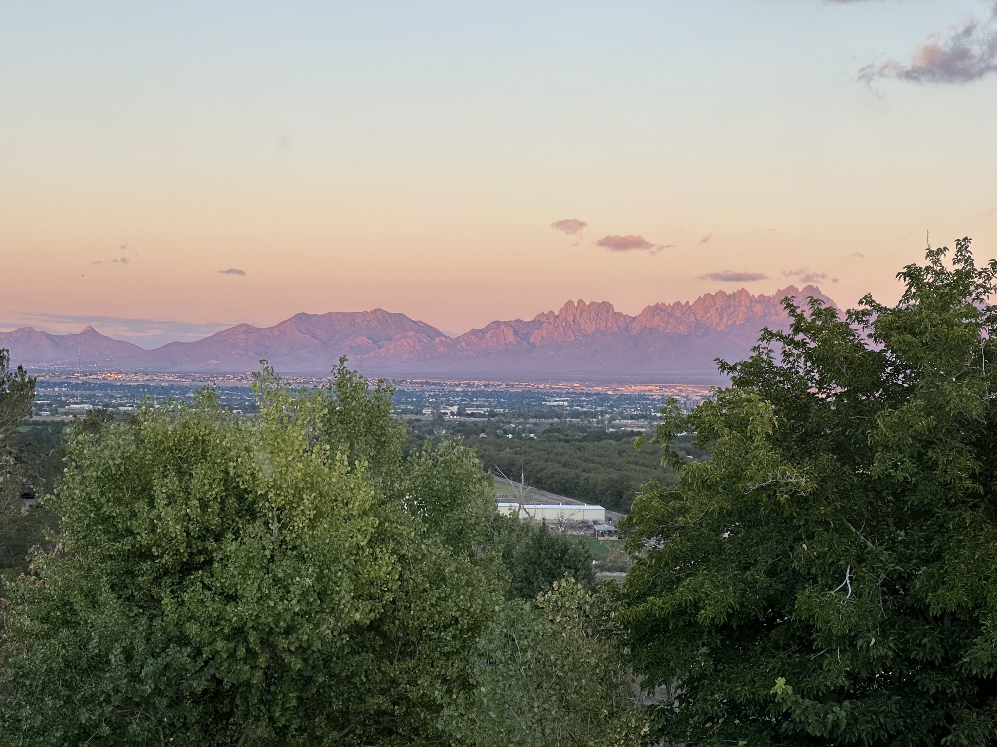 View