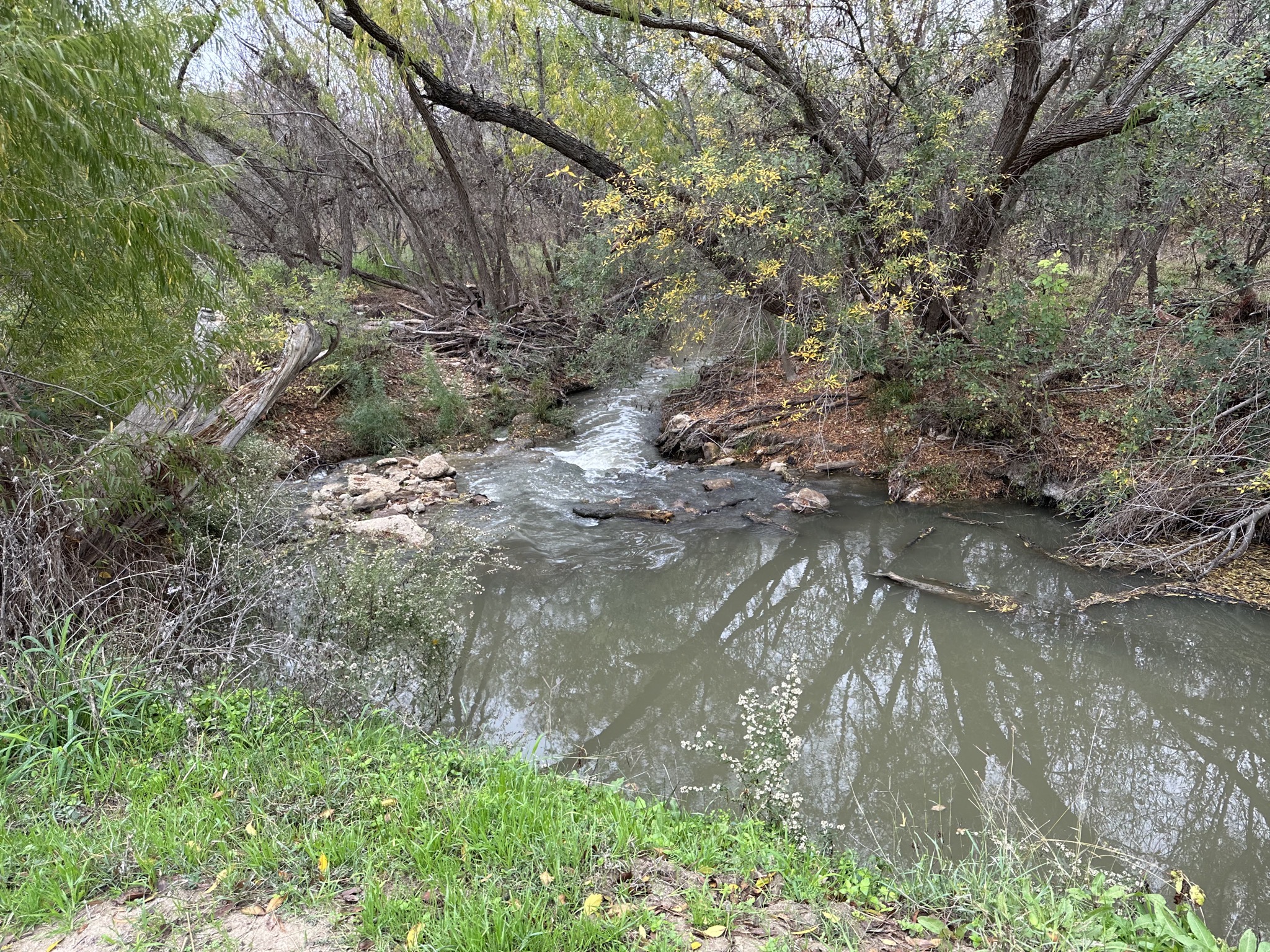 Creek