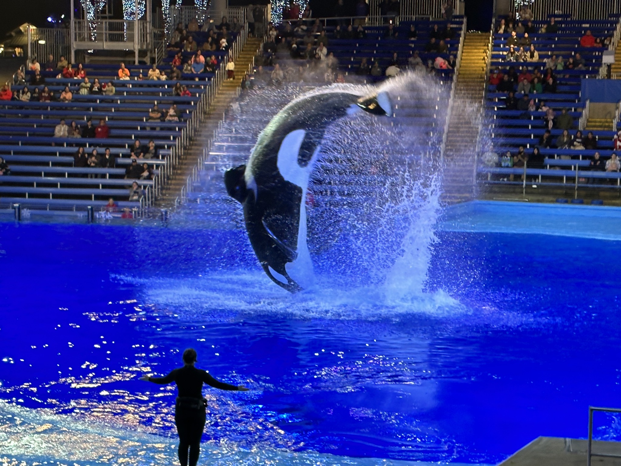 SeaWorld