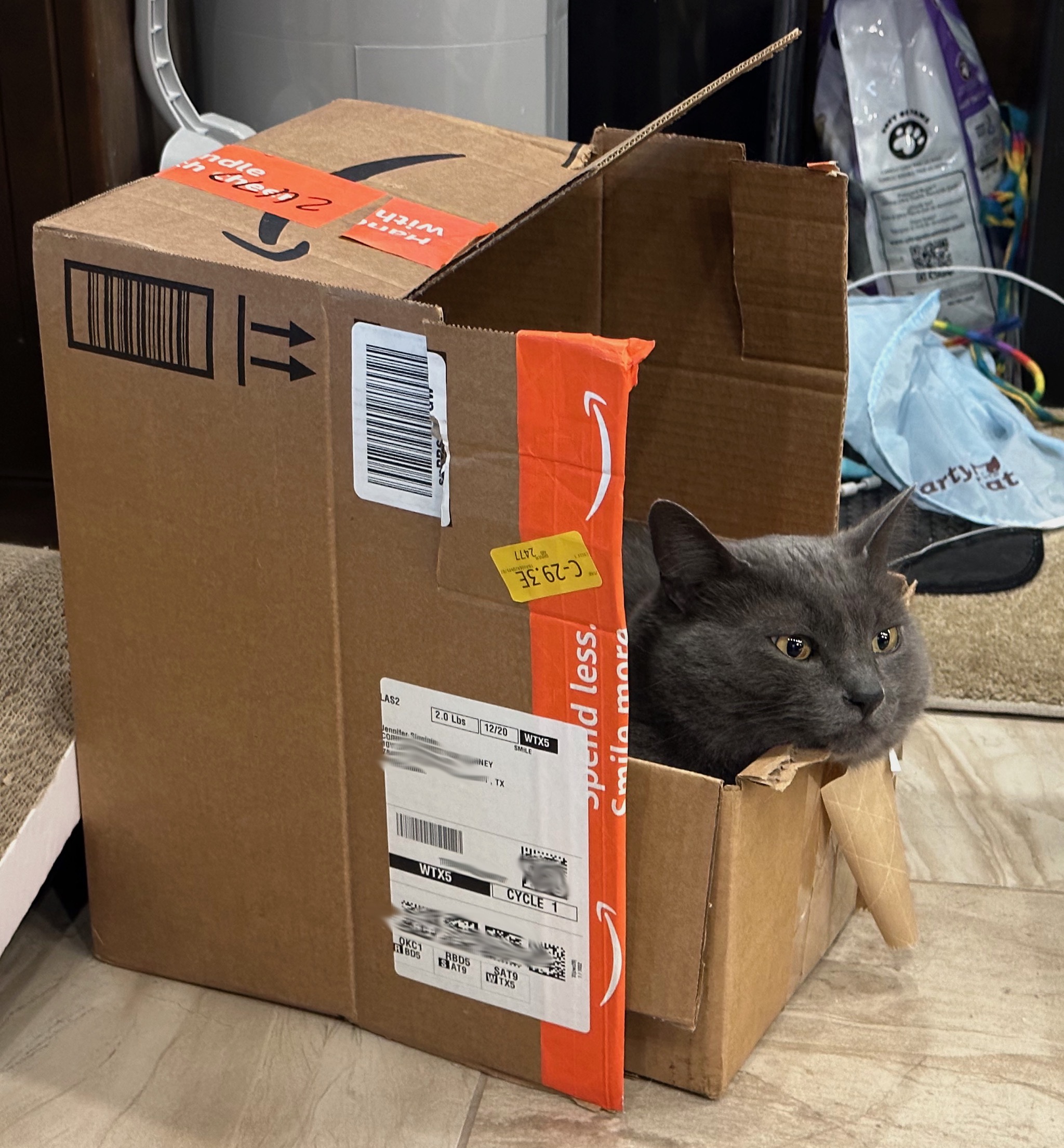 Paladin in a box
