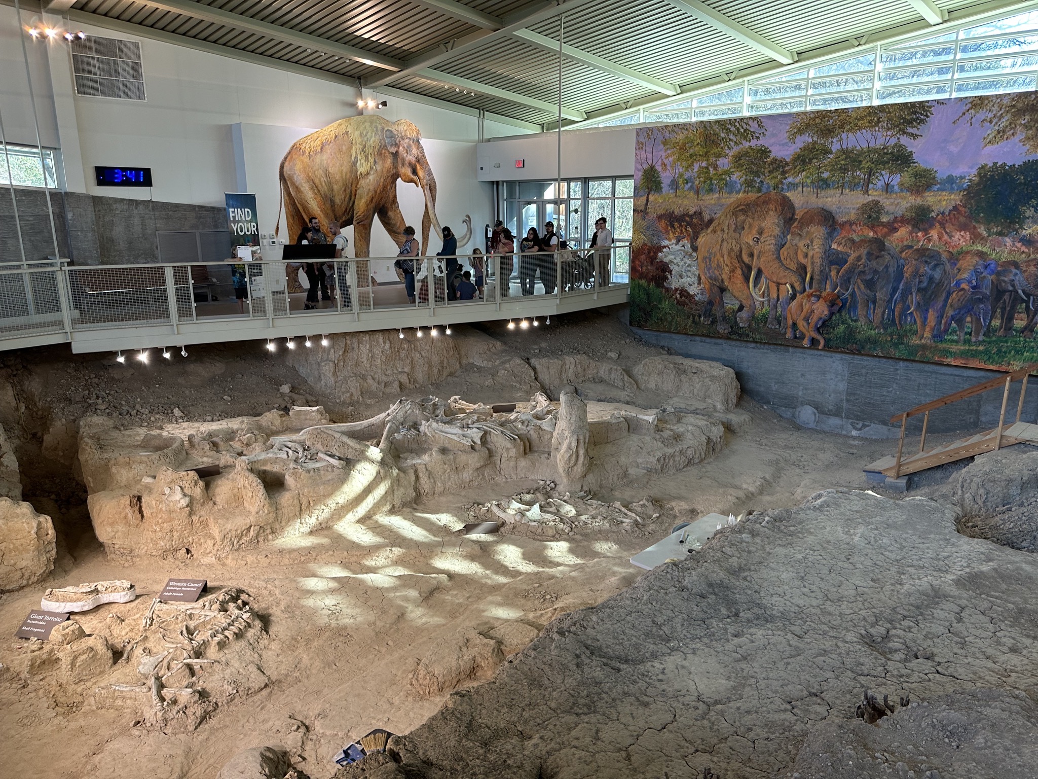 Waco Mammoth National Monument