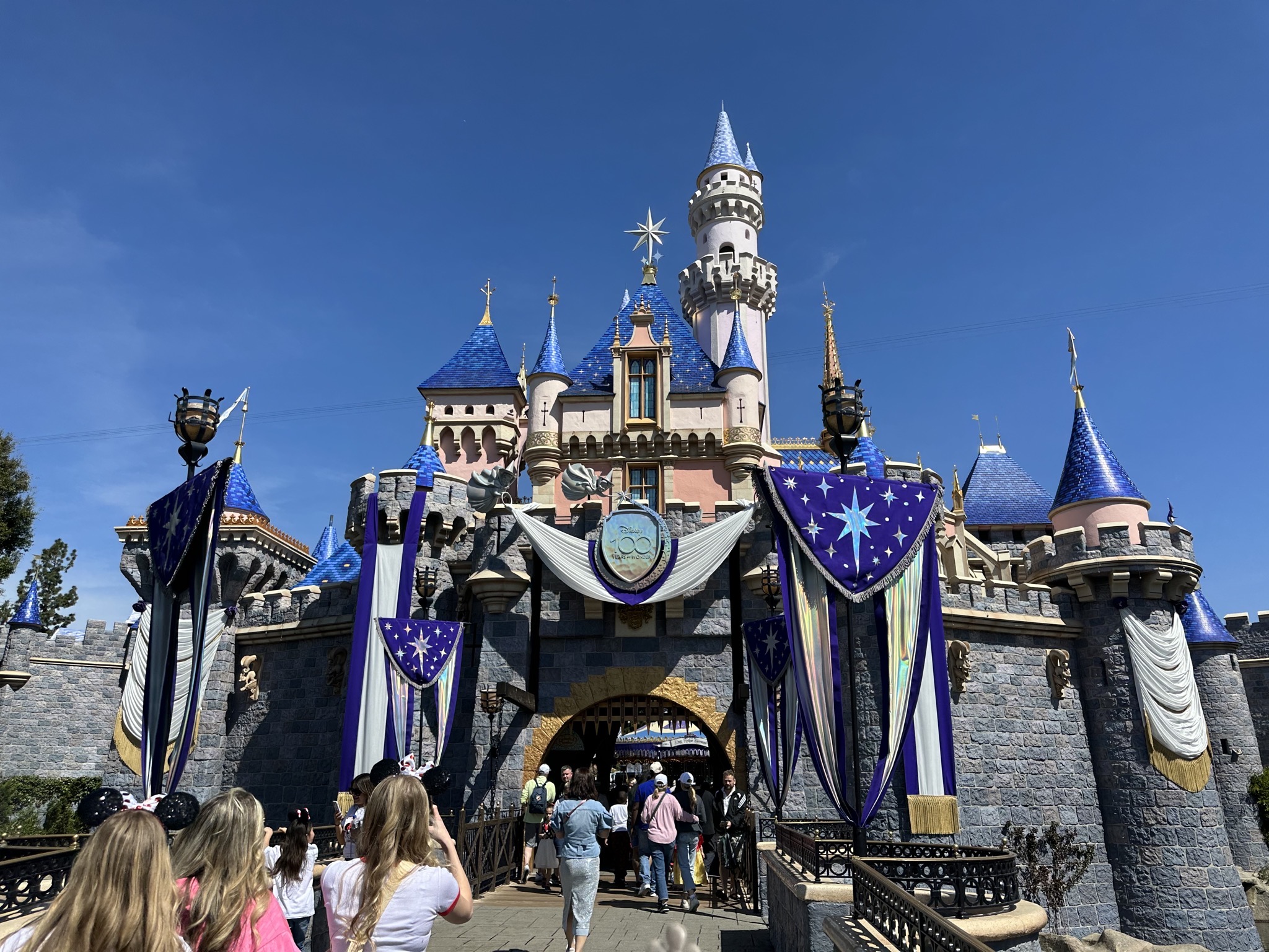 Disney castle