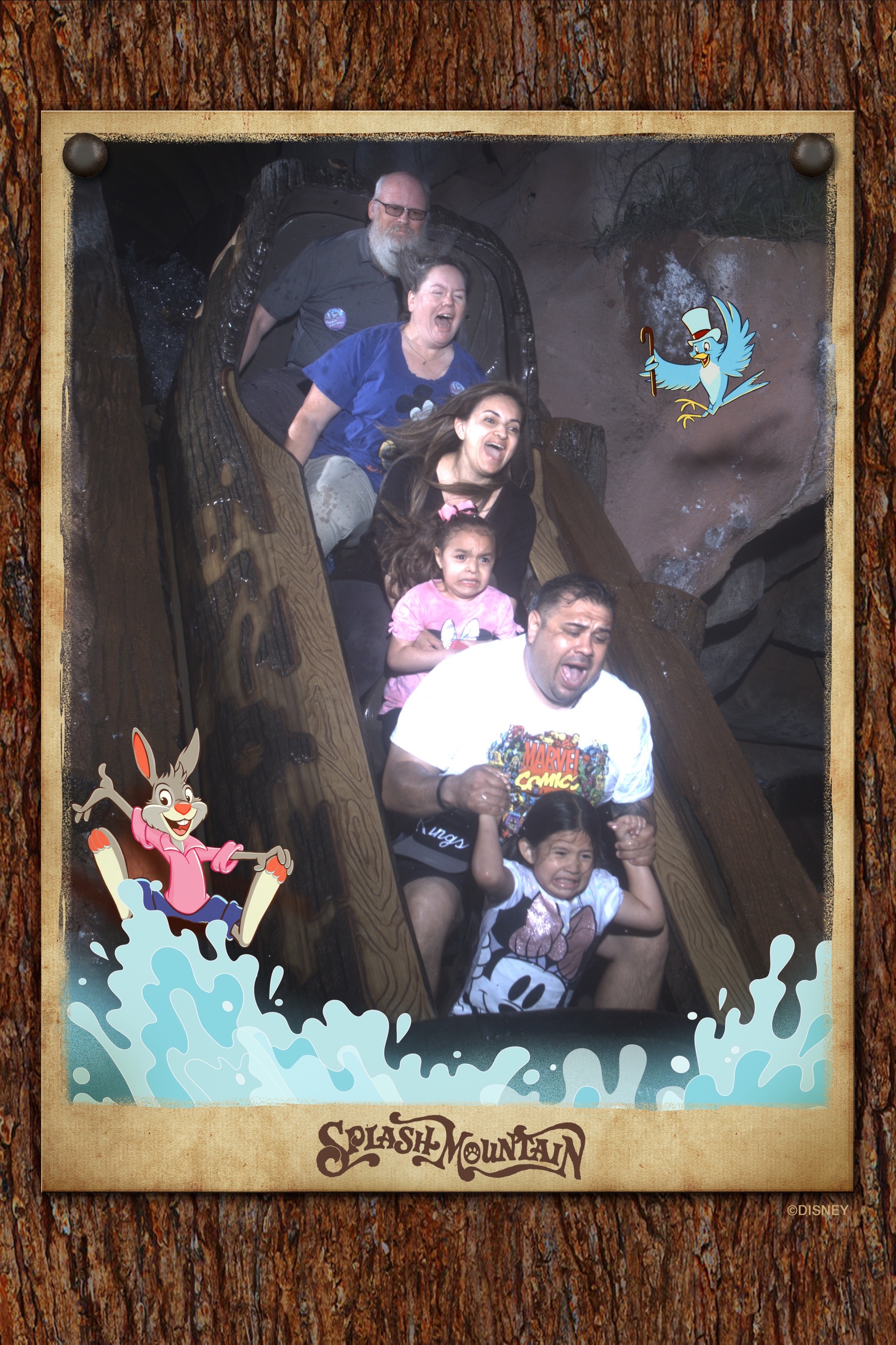 Splash Mountain