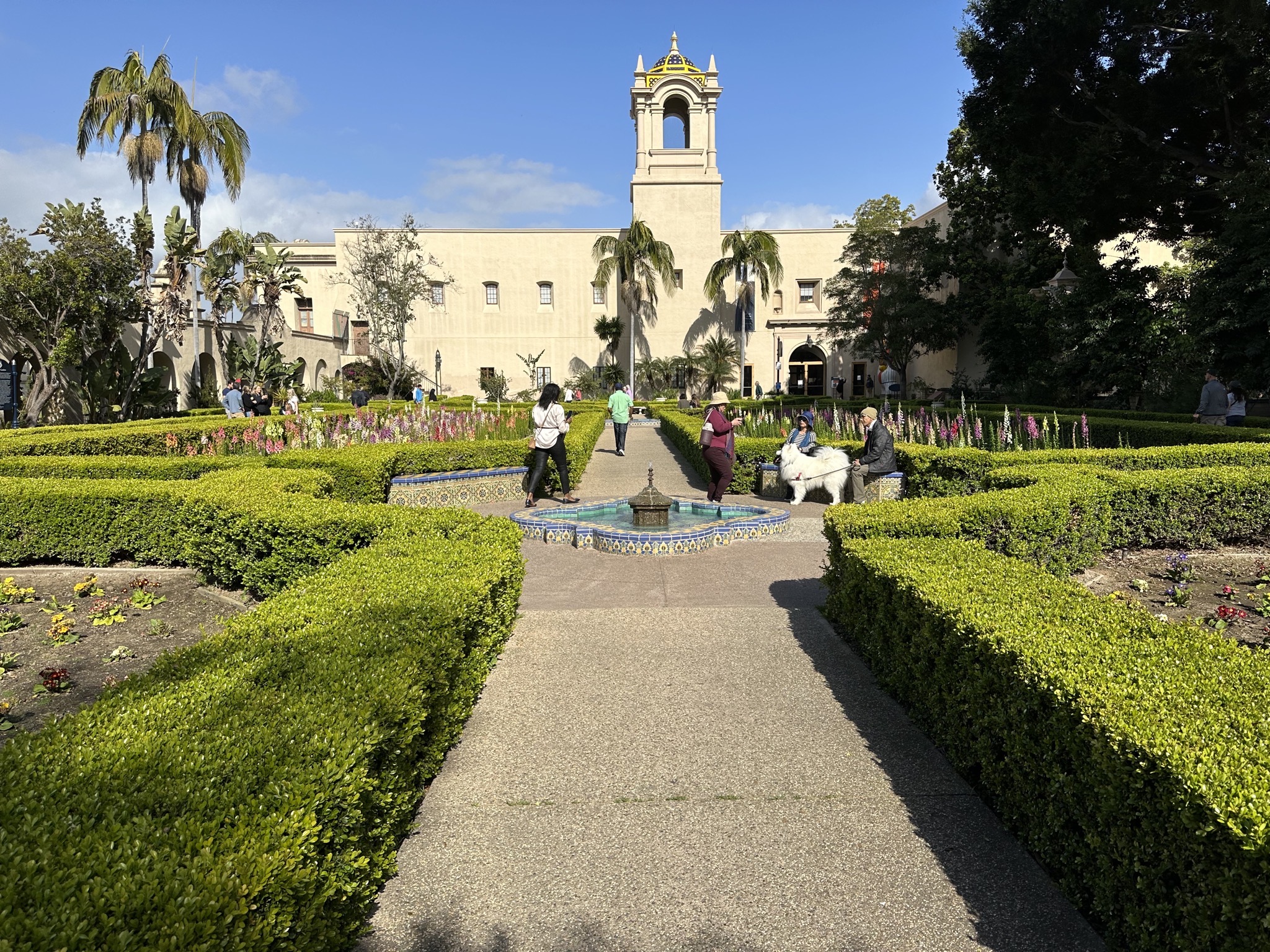 Garden