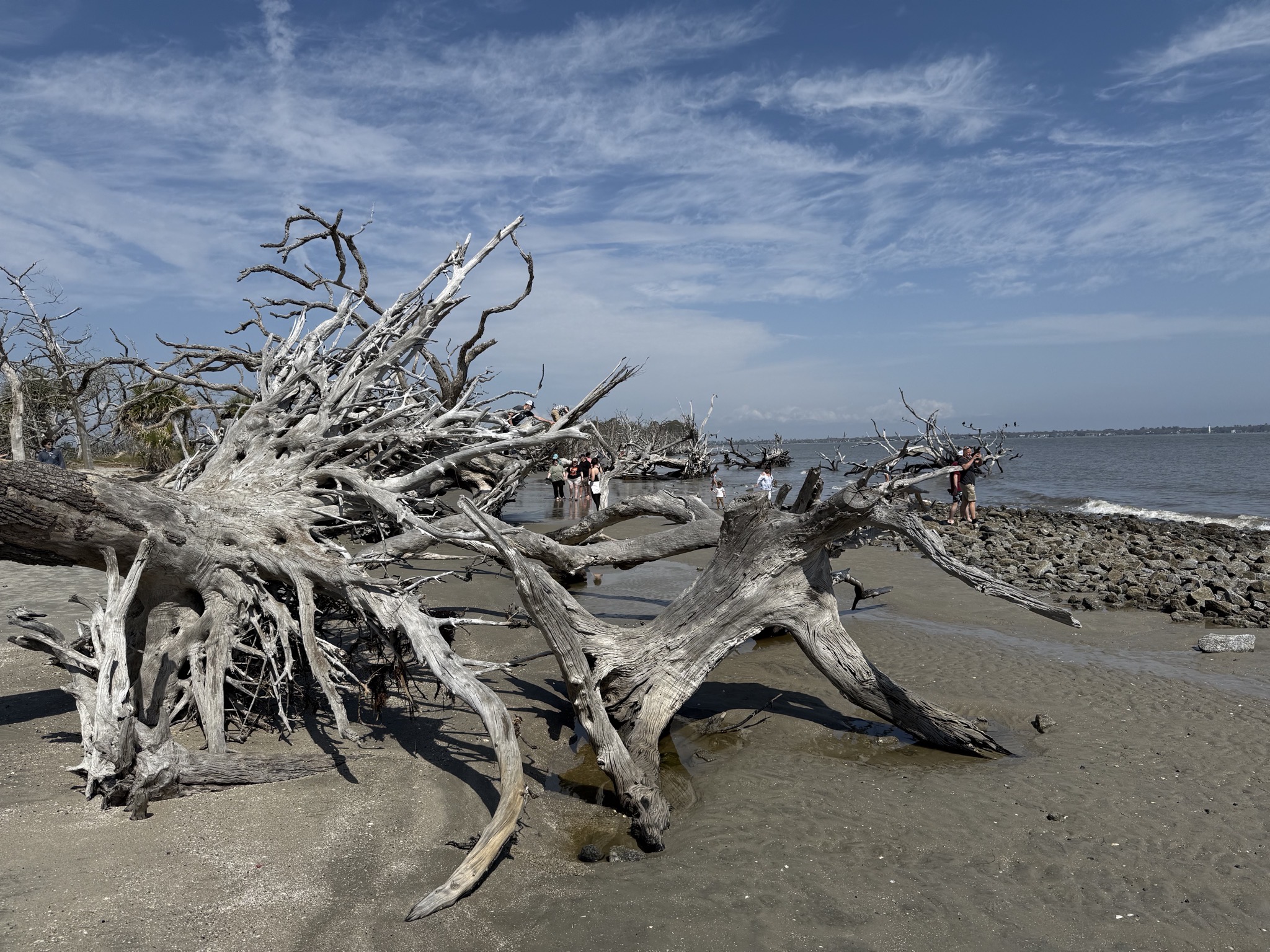 Driftwood Beach