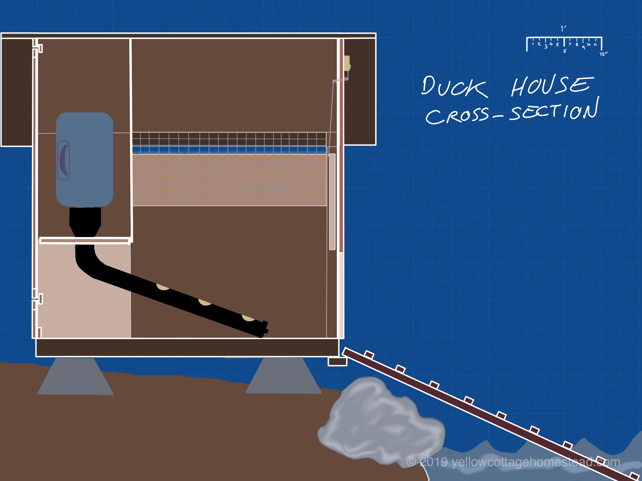 Duck house cross-section