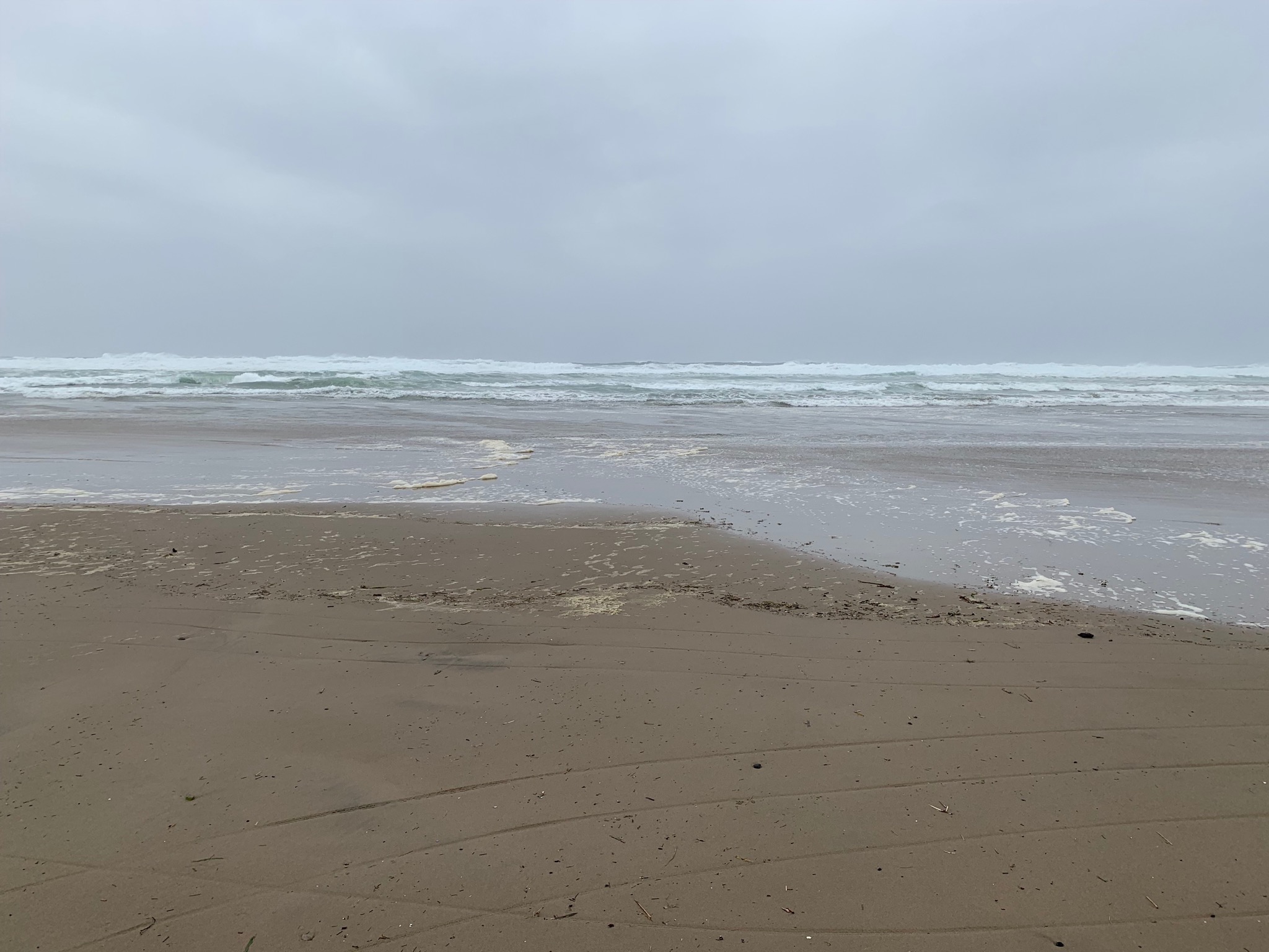Manzanita beach
