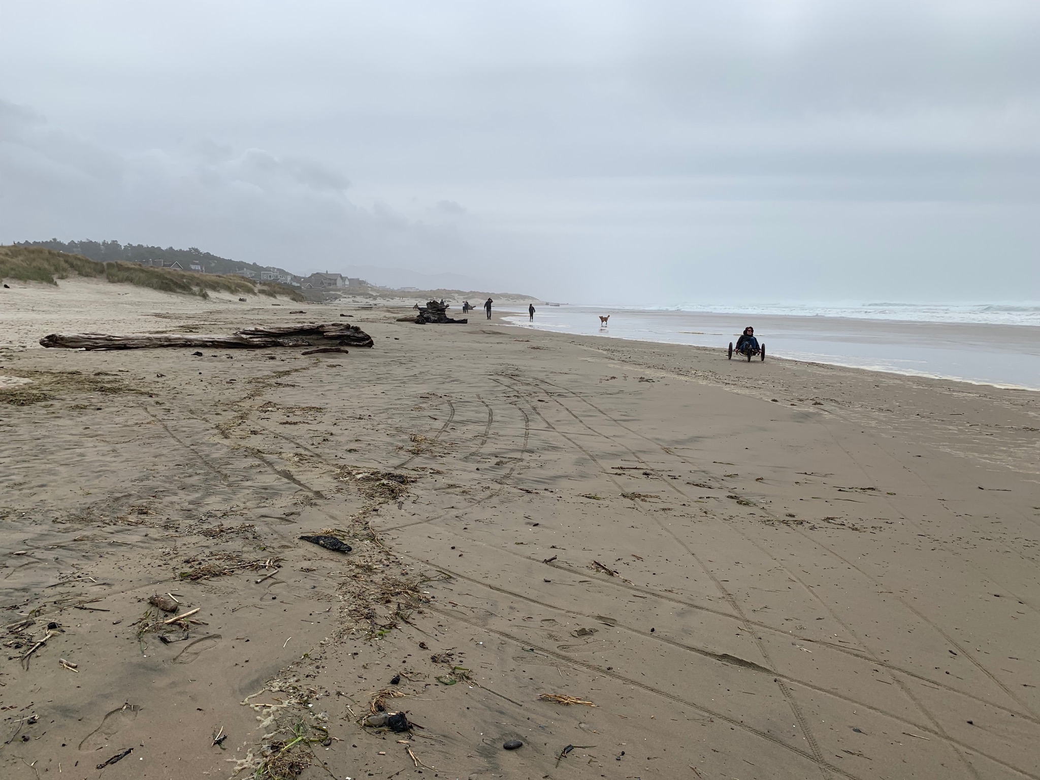 Manzanita beach