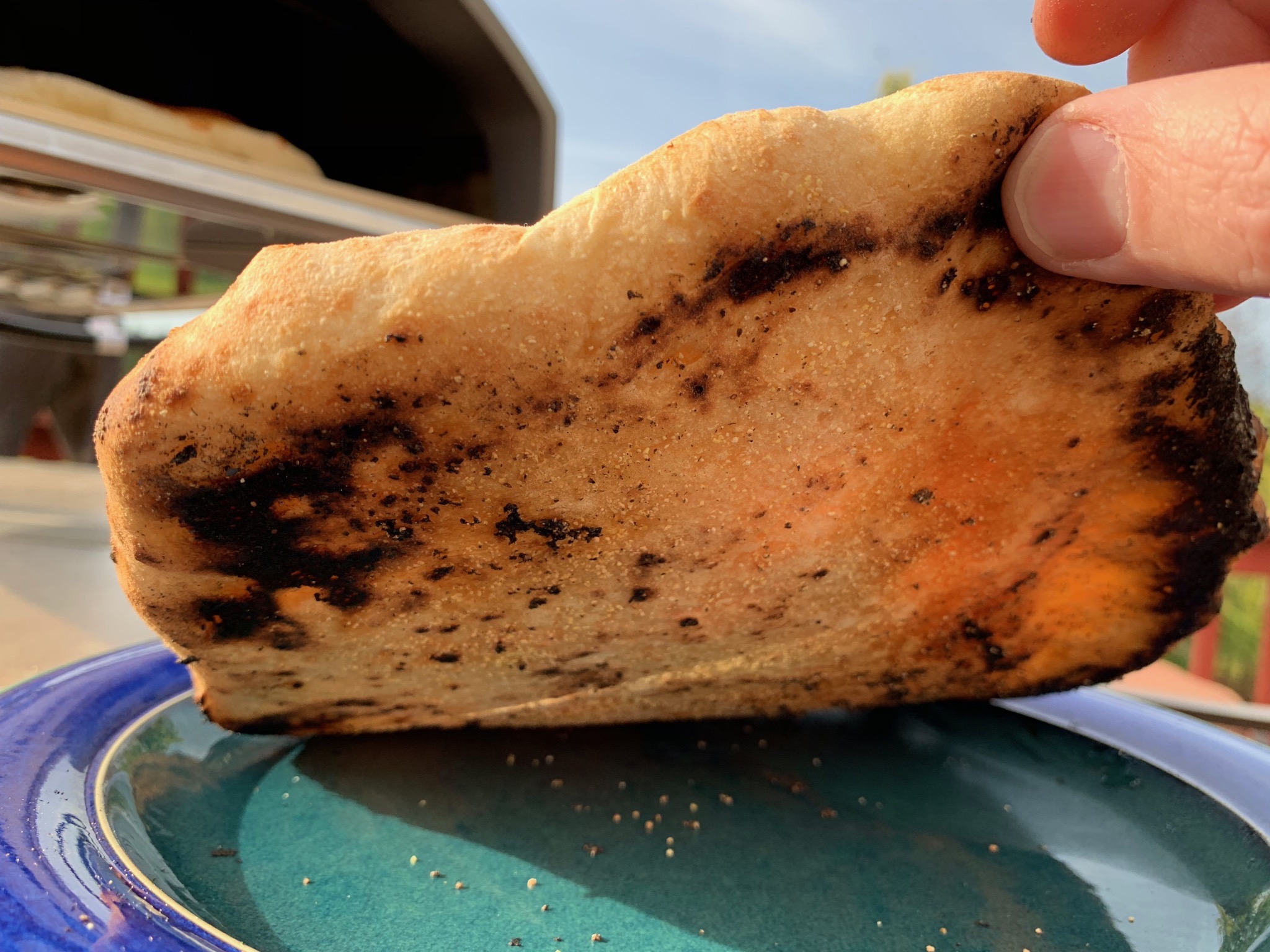 Pizza bottom