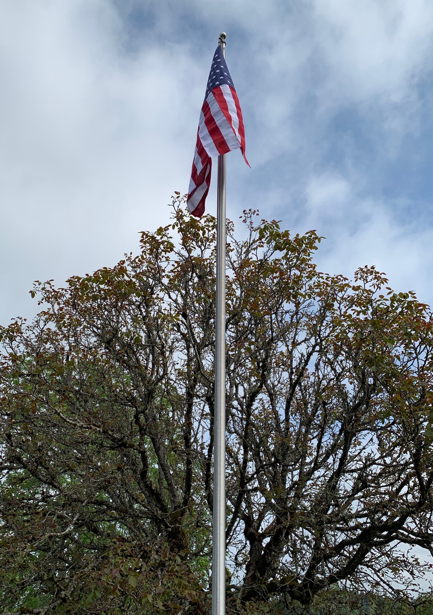 New flag on pole