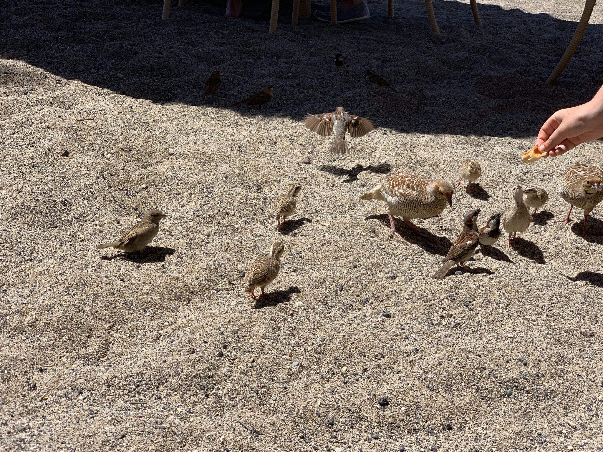 Image description needed