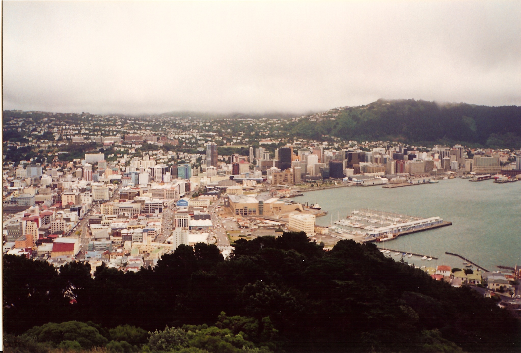 Wellington