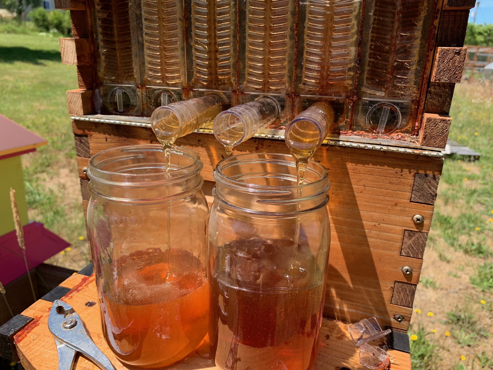 Flowing honey