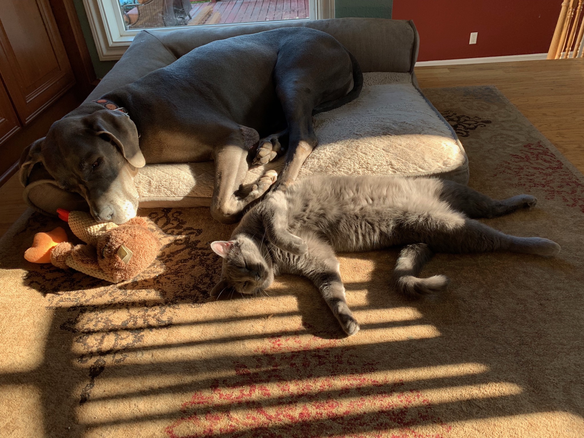 Rory & Paladin