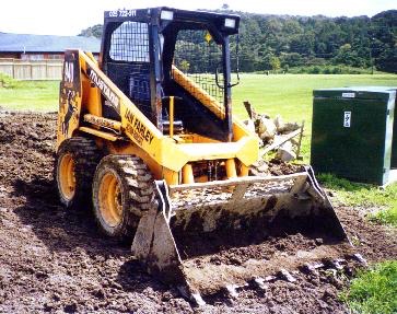 Bobcat