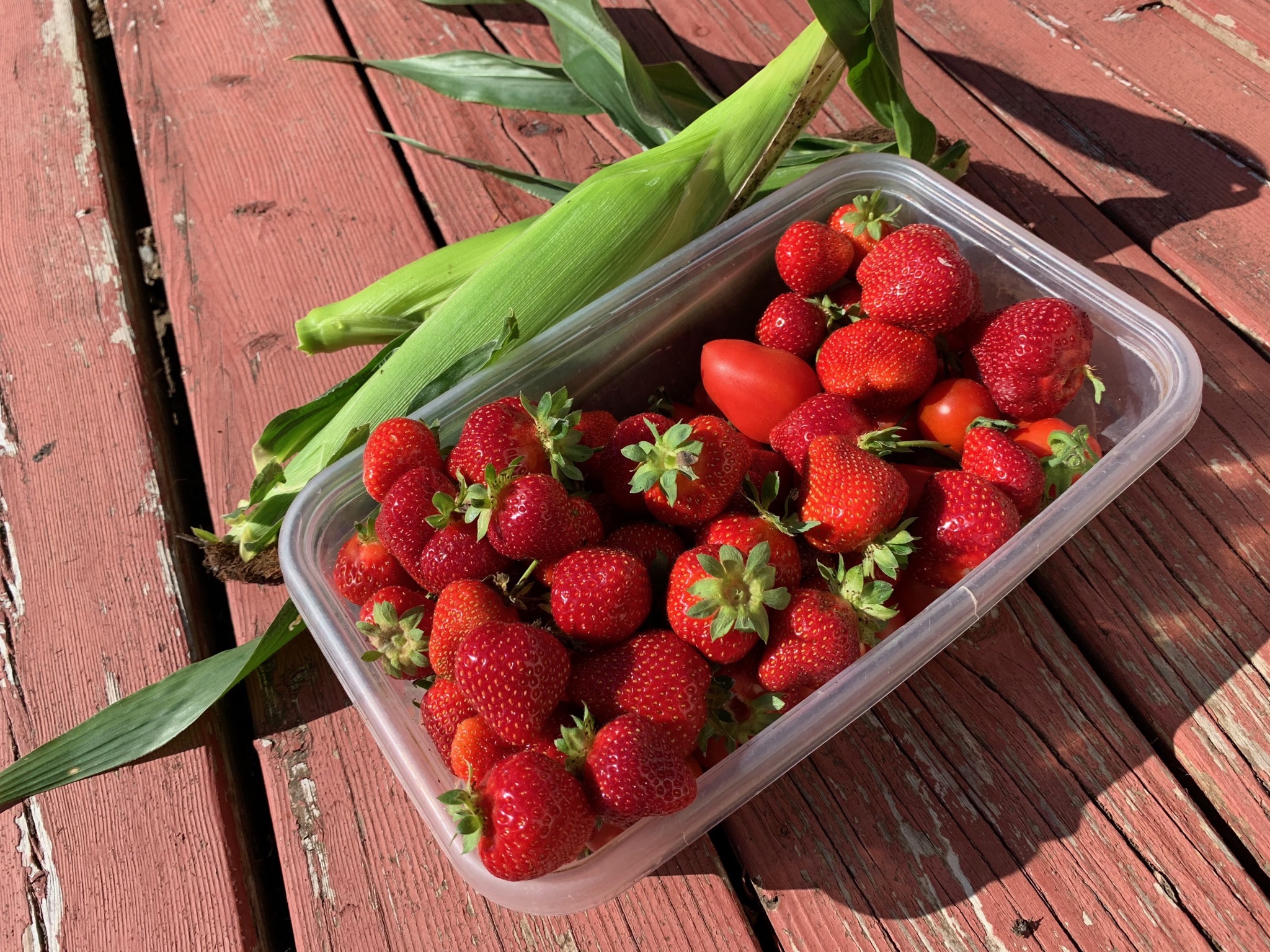 Tomatoes, strawberries, corn
