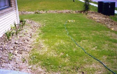 Front lawn