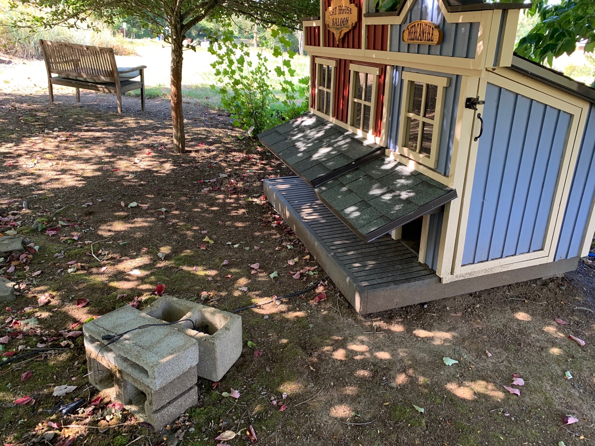 Cat house with camera knocked over
