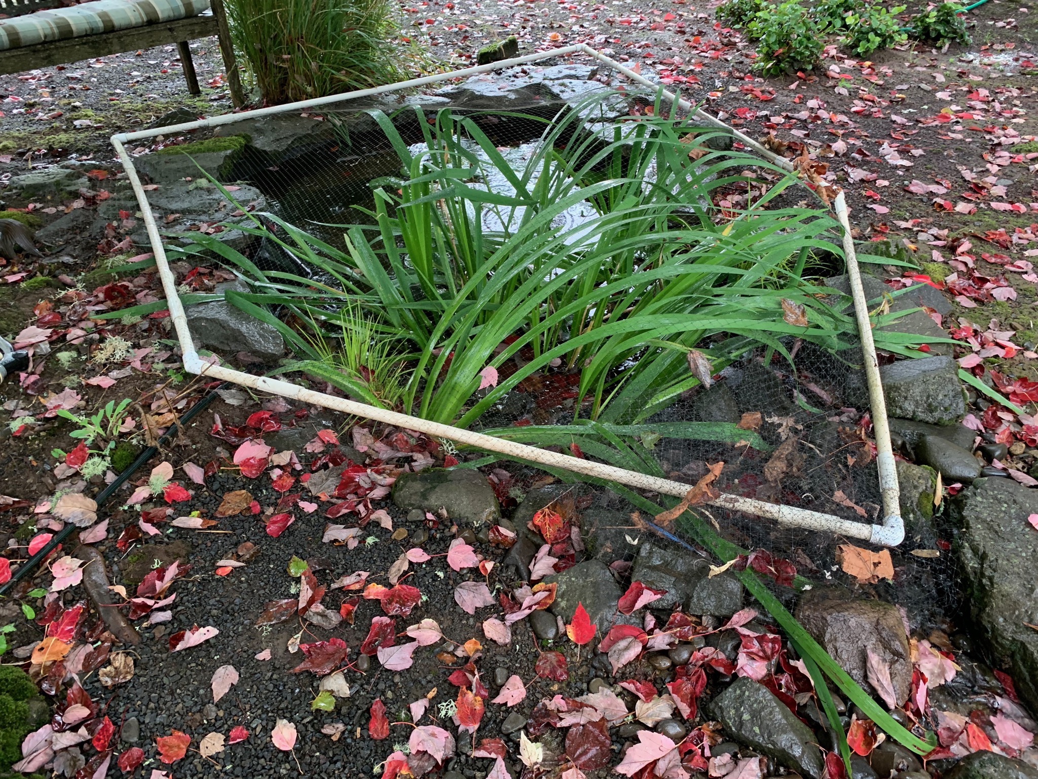 Cover over small pond