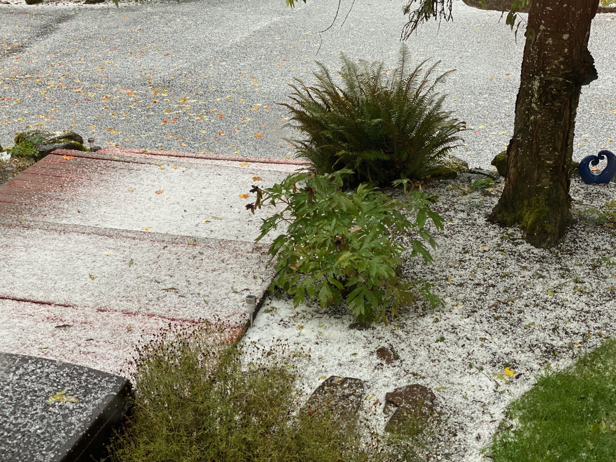 Hail