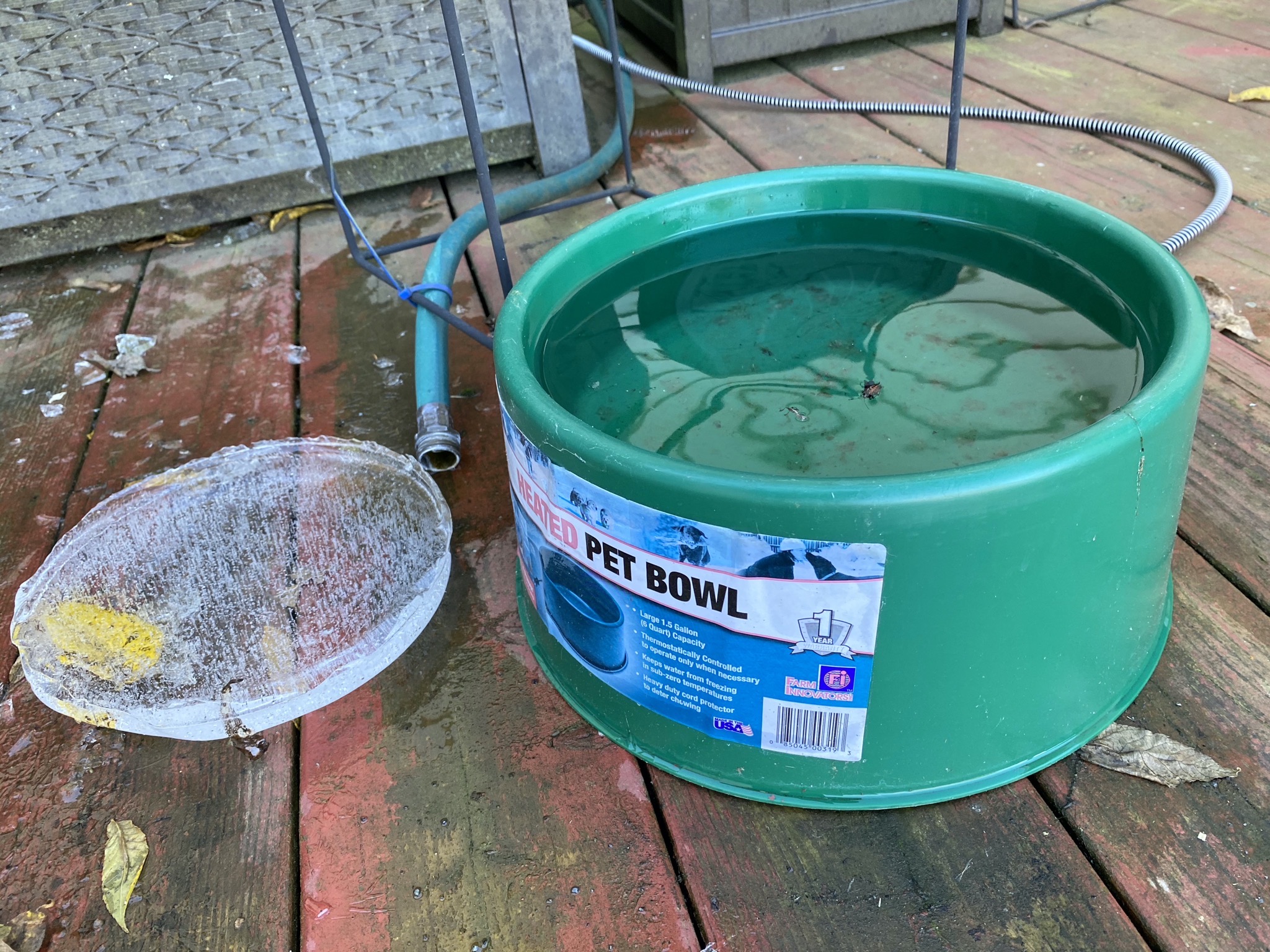 Heated dog bowl (and ice from non-heated bowl)