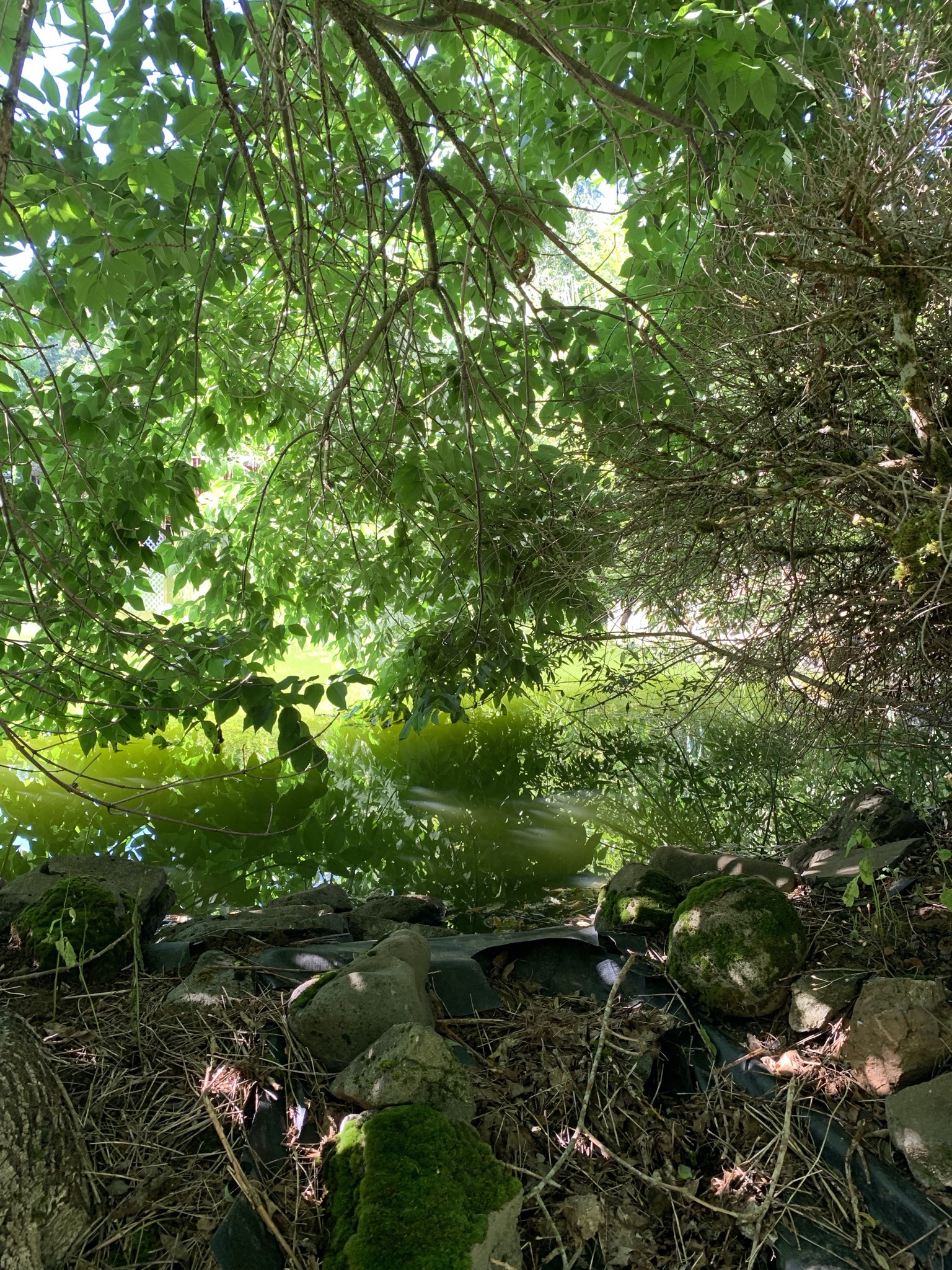Pond overflow